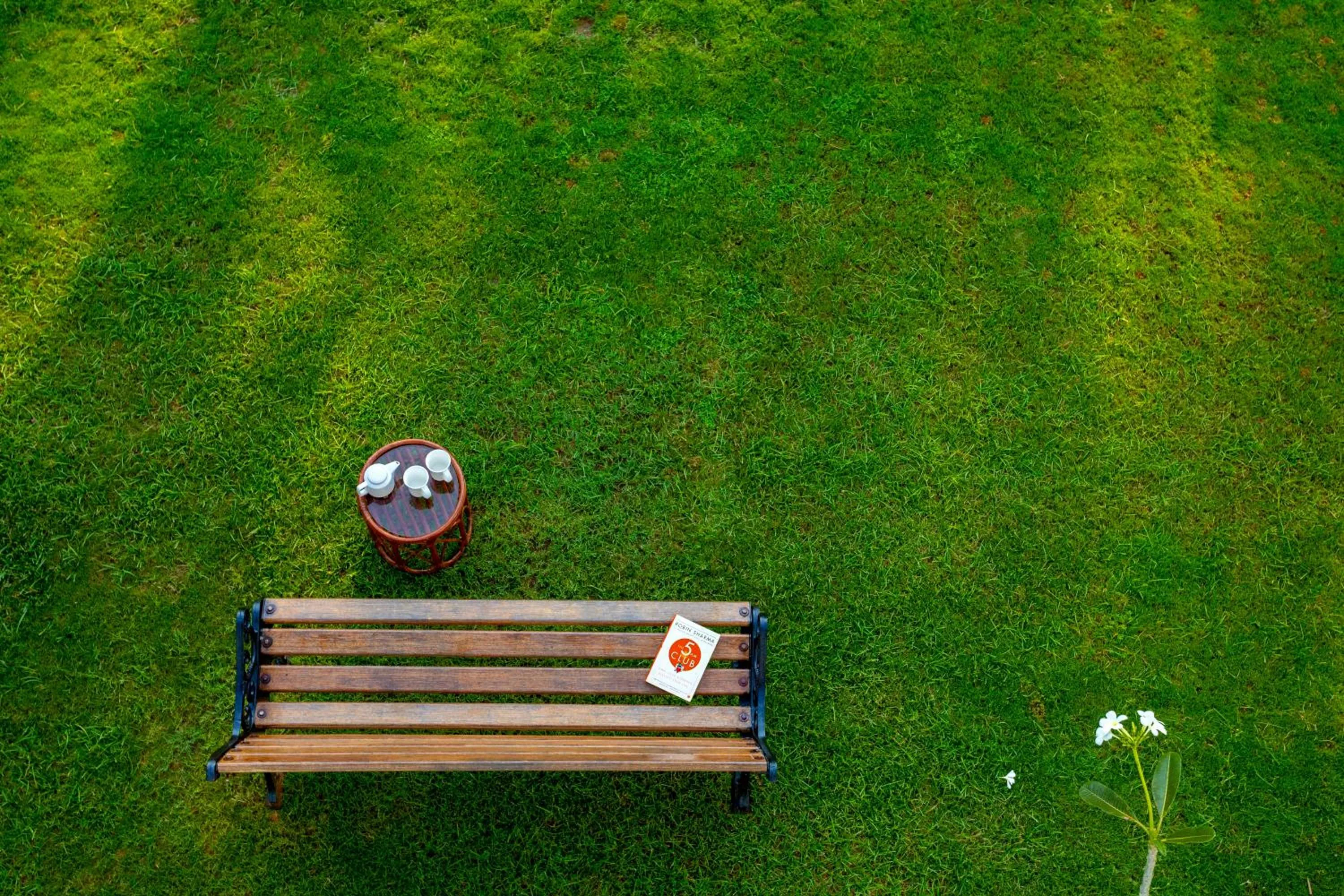 Garden in La Vaiencia Beach Resort, Morjim