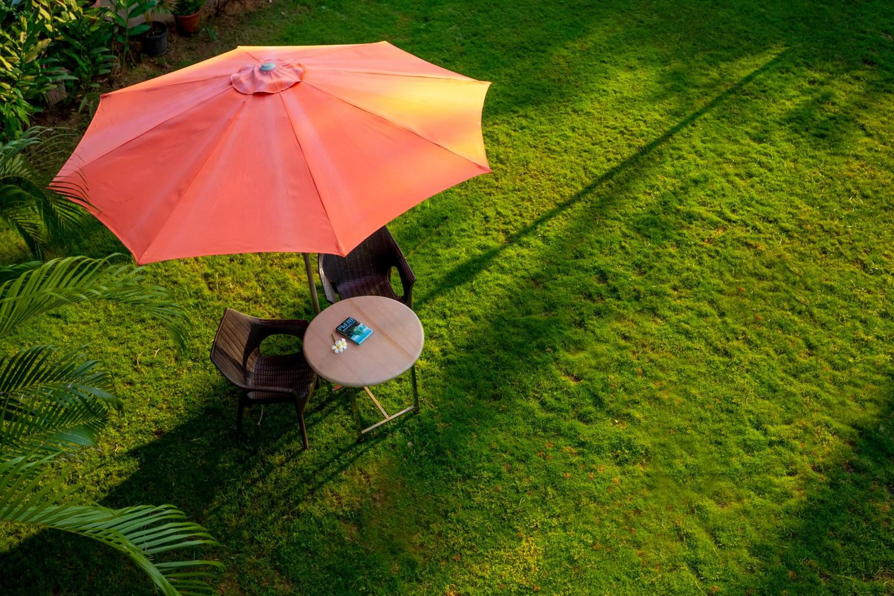 Garden in La Vaiencia Beach Resort, Morjim