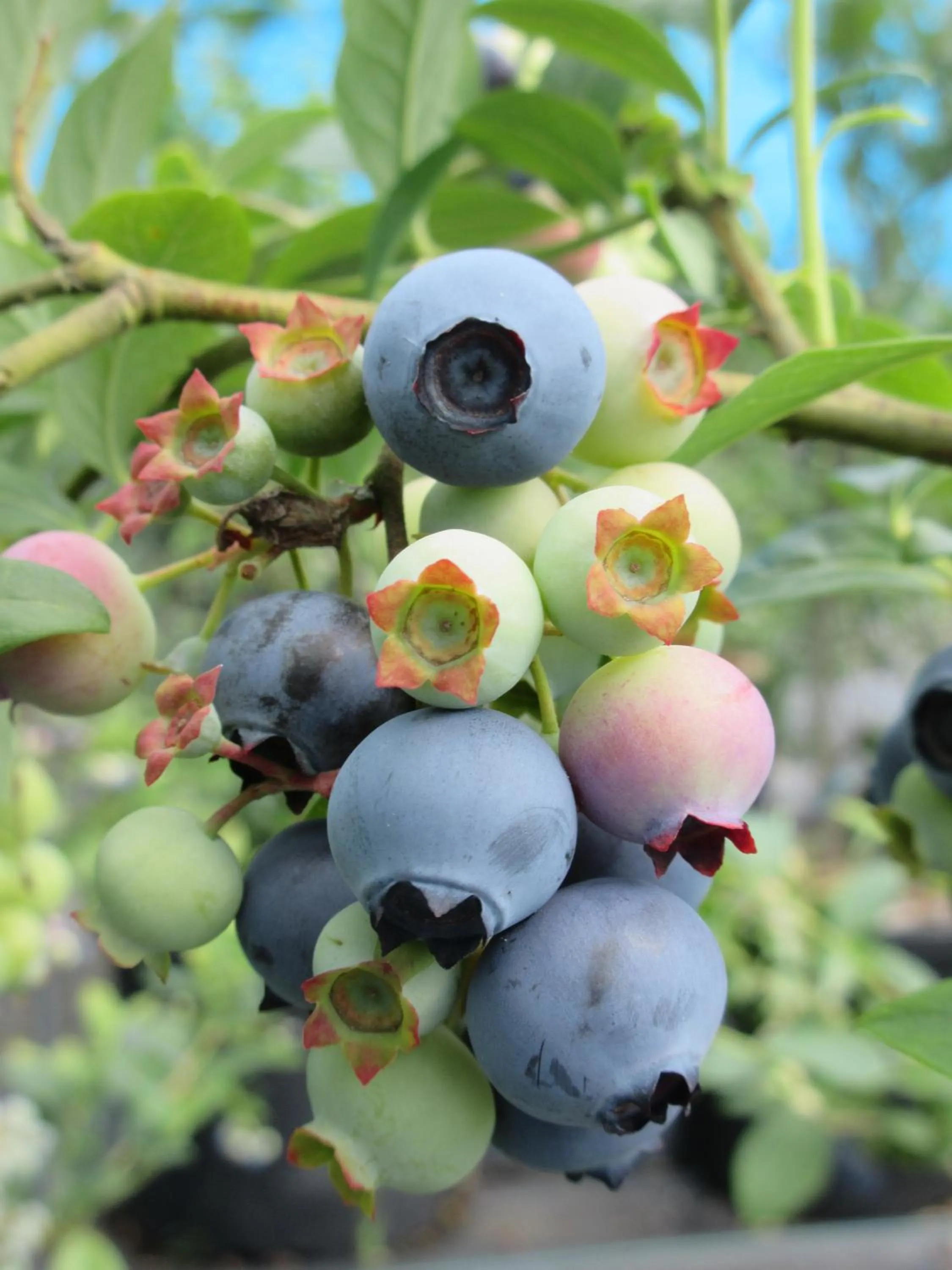 Activities in Hotel Second Stage