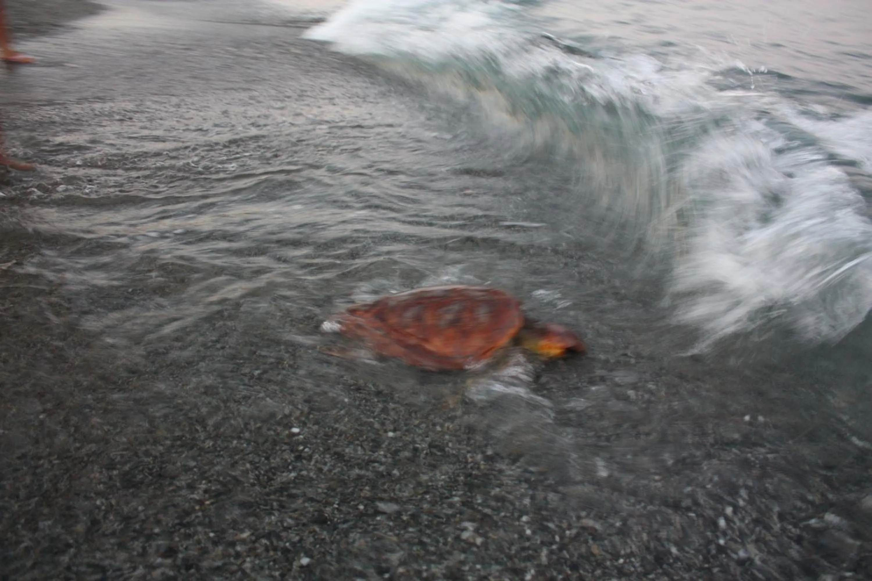 Natural landscape in B&B Casa Cosmano