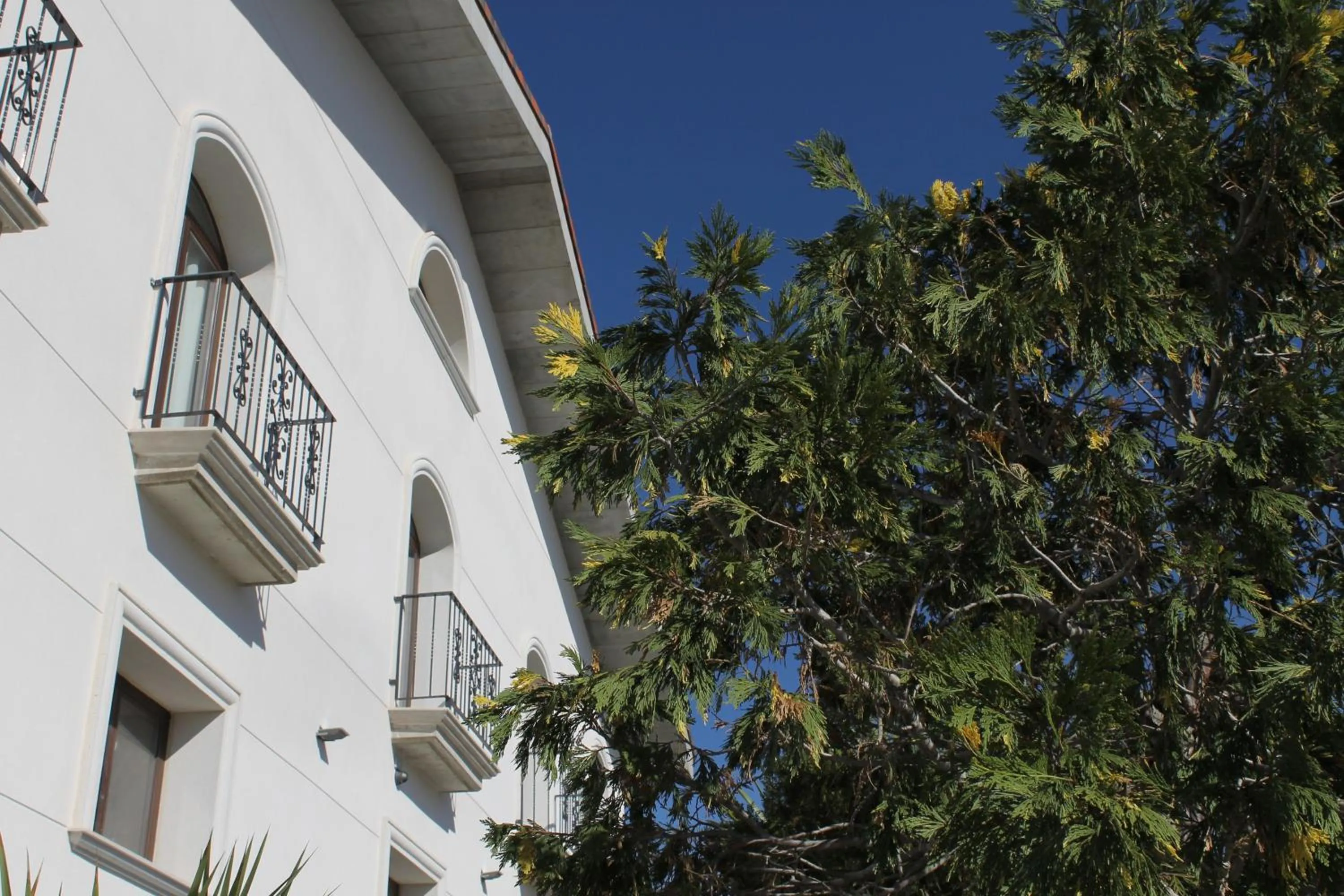 Facade/entrance in Hostal Landhaus