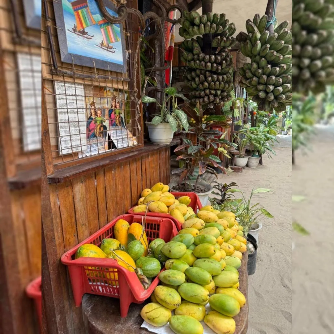 Victoria Beach House