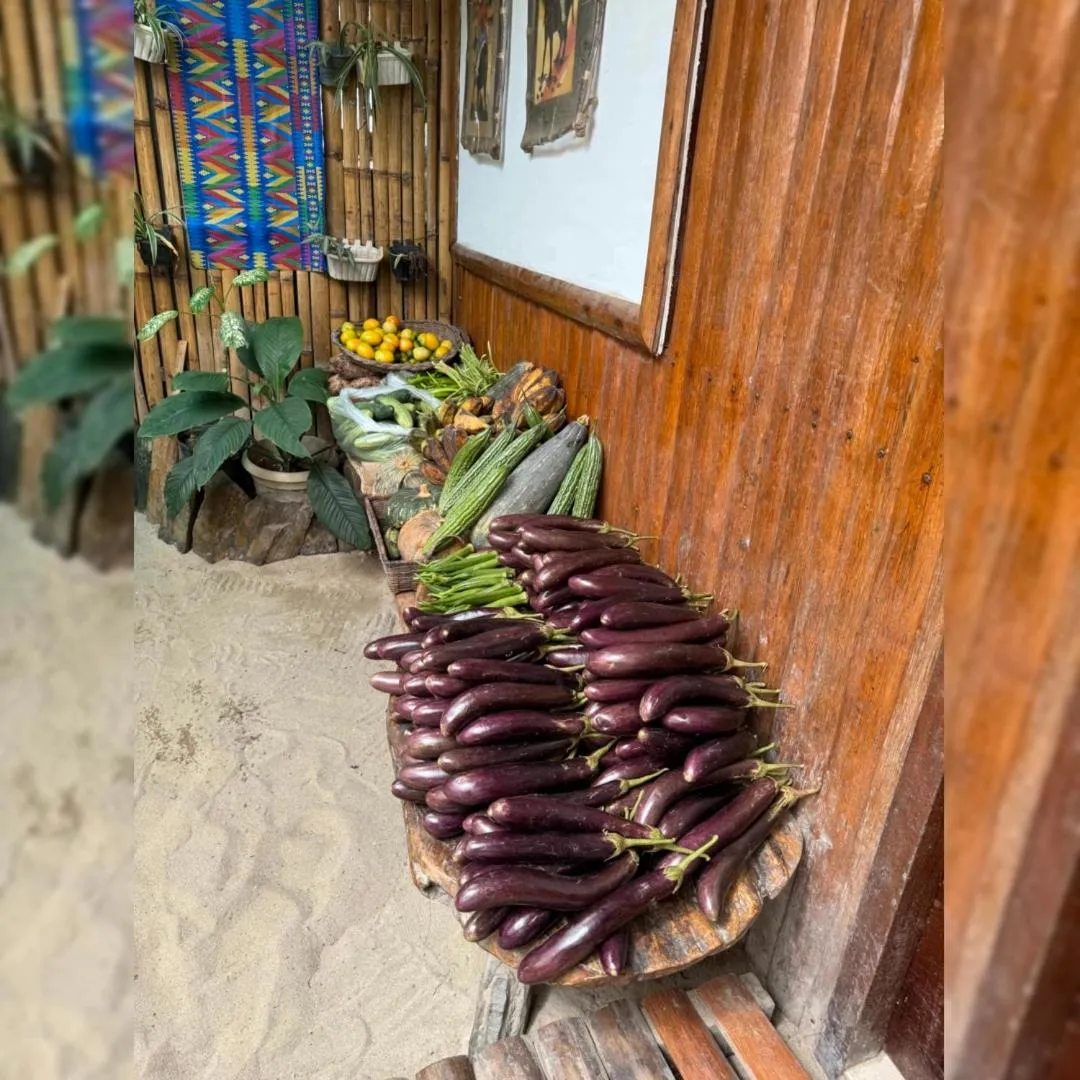 Victoria Beach House