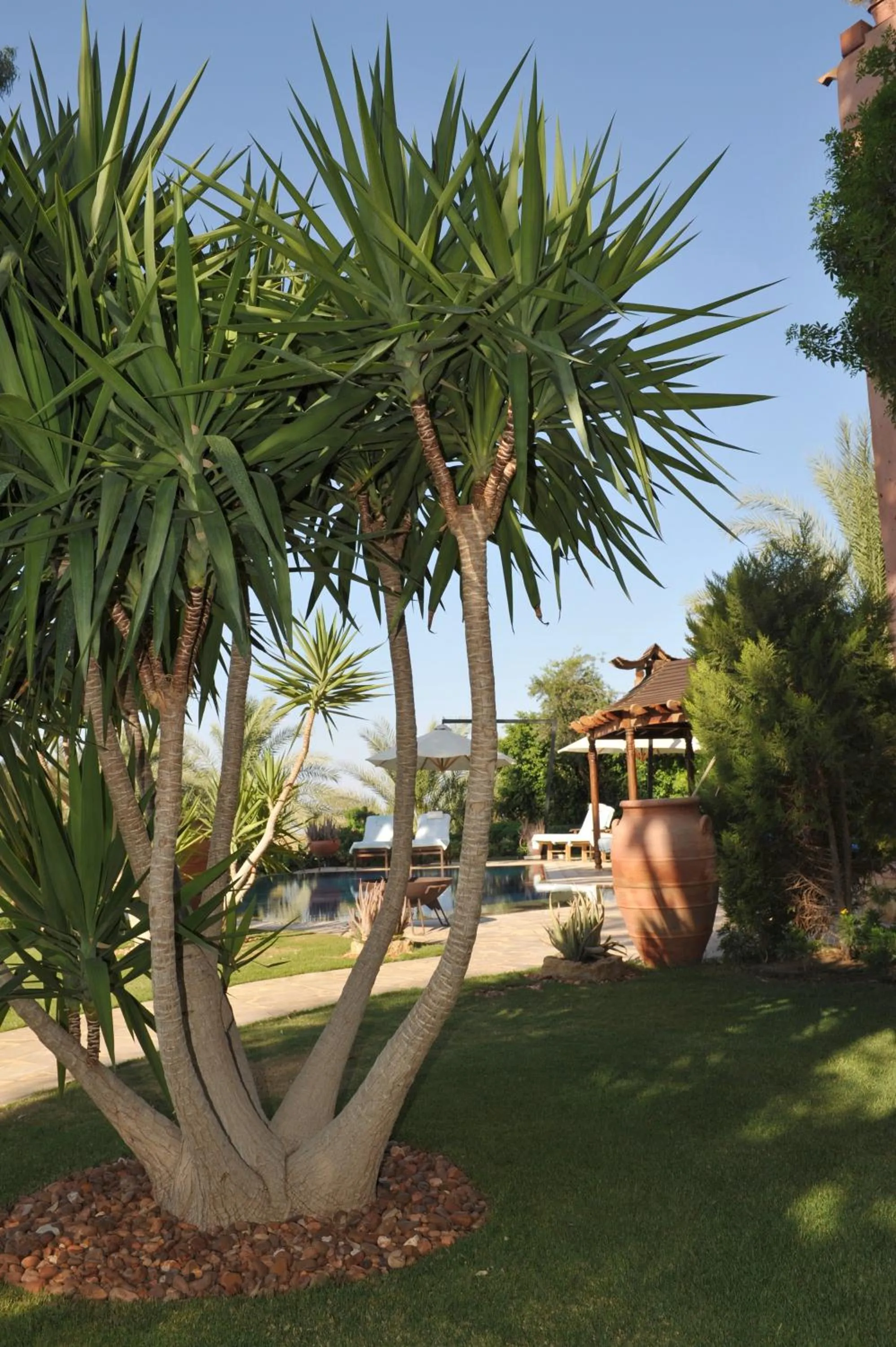 Garden in Lazib Inn Resort & Spa