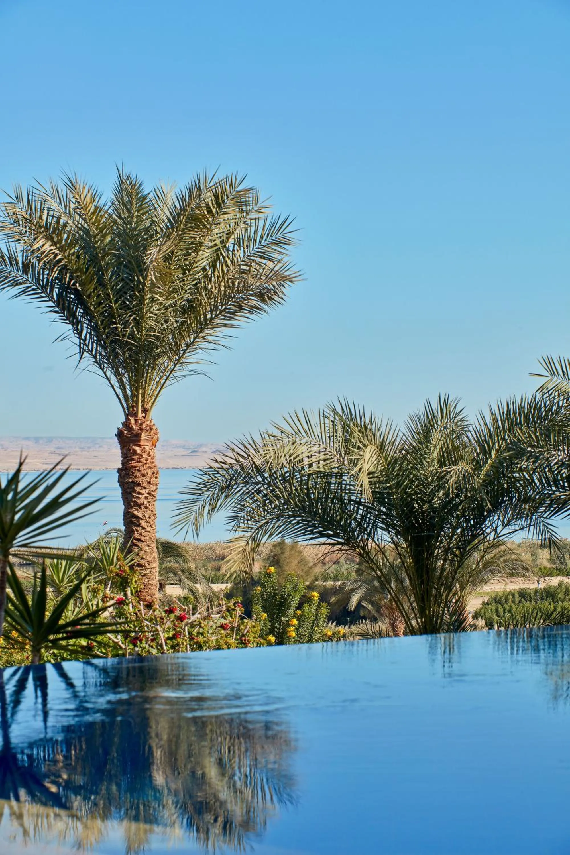 Swimming pool in Lazib Inn Resort & Spa