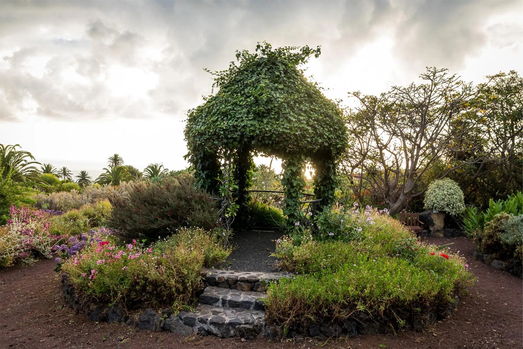 Garden in Parador de La Palma
