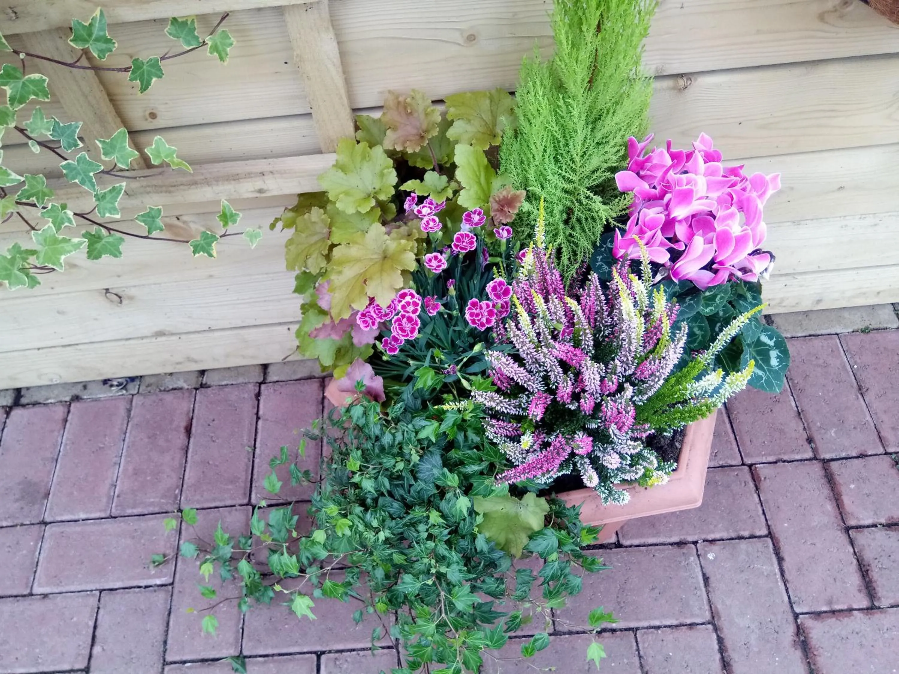 Garden in Beechwood Cottage B&B