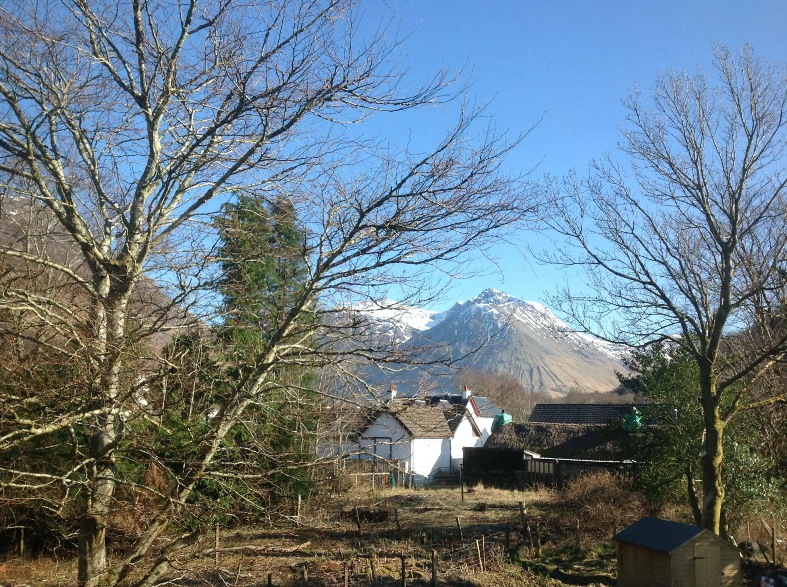 Natural landscape in Beechwood Cottage B&B