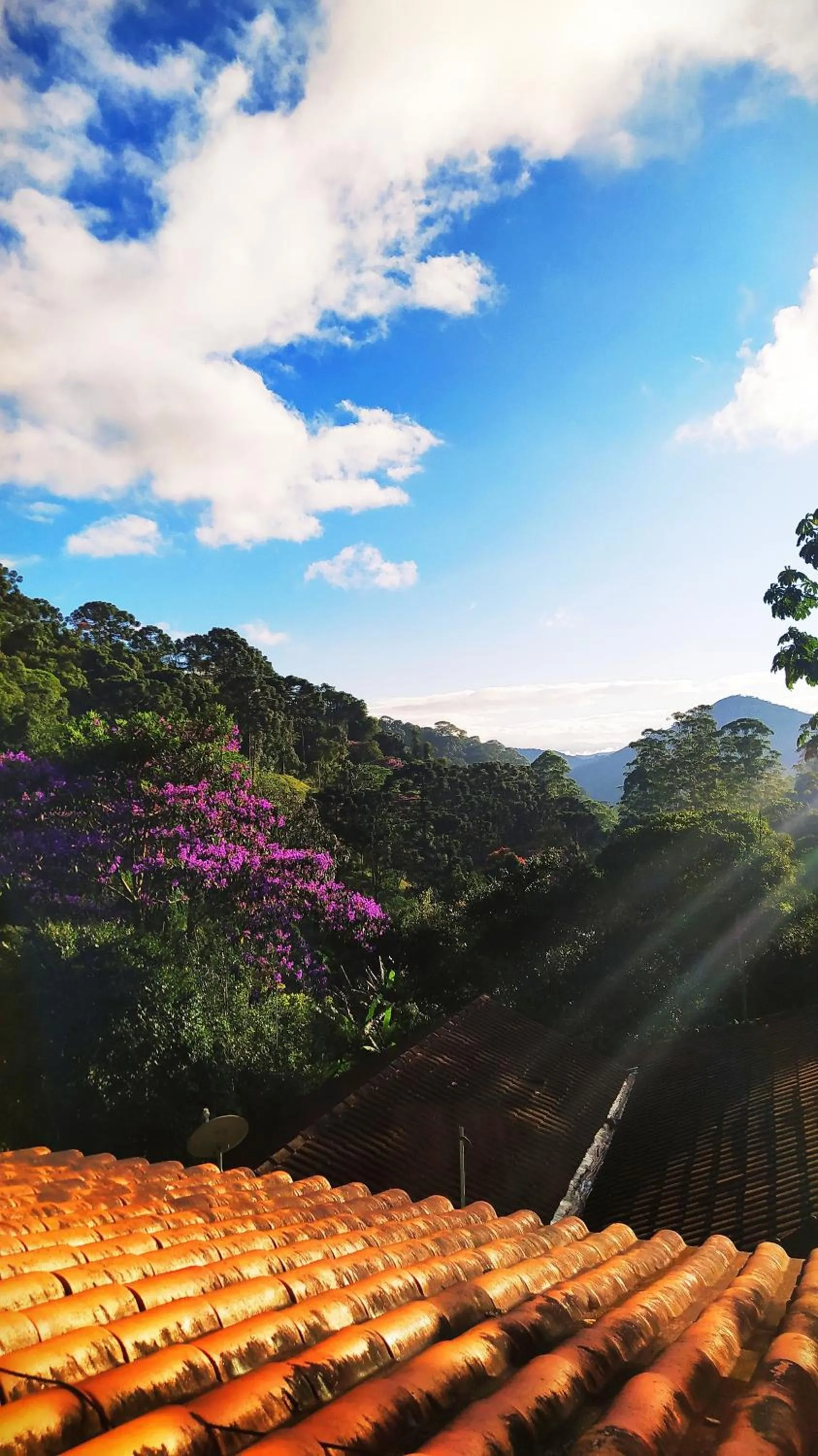 Natural landscape in Pousada Bella Ana
