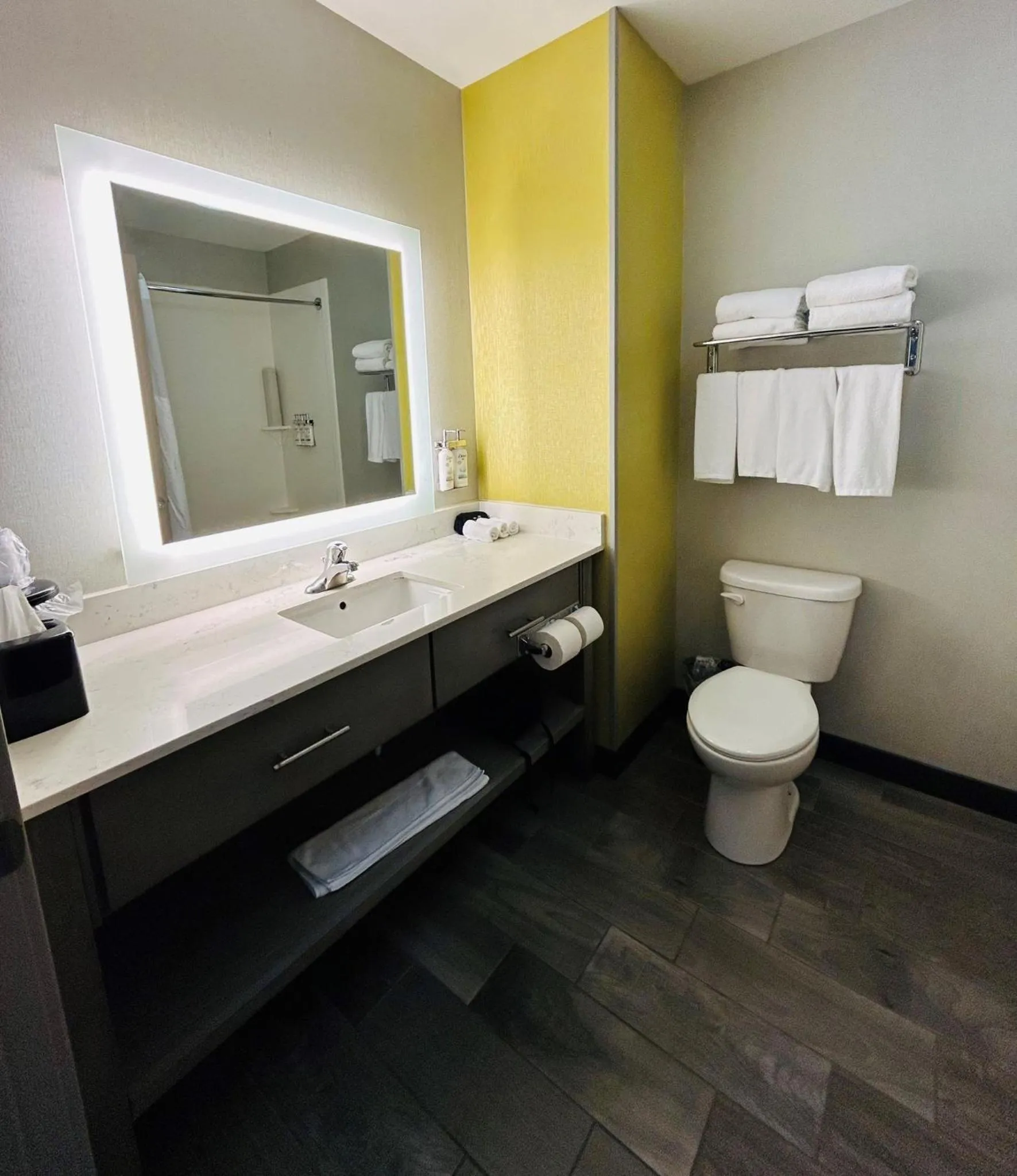 Bathroom in Holiday Inn Express & Suites Shippensburg by IHG