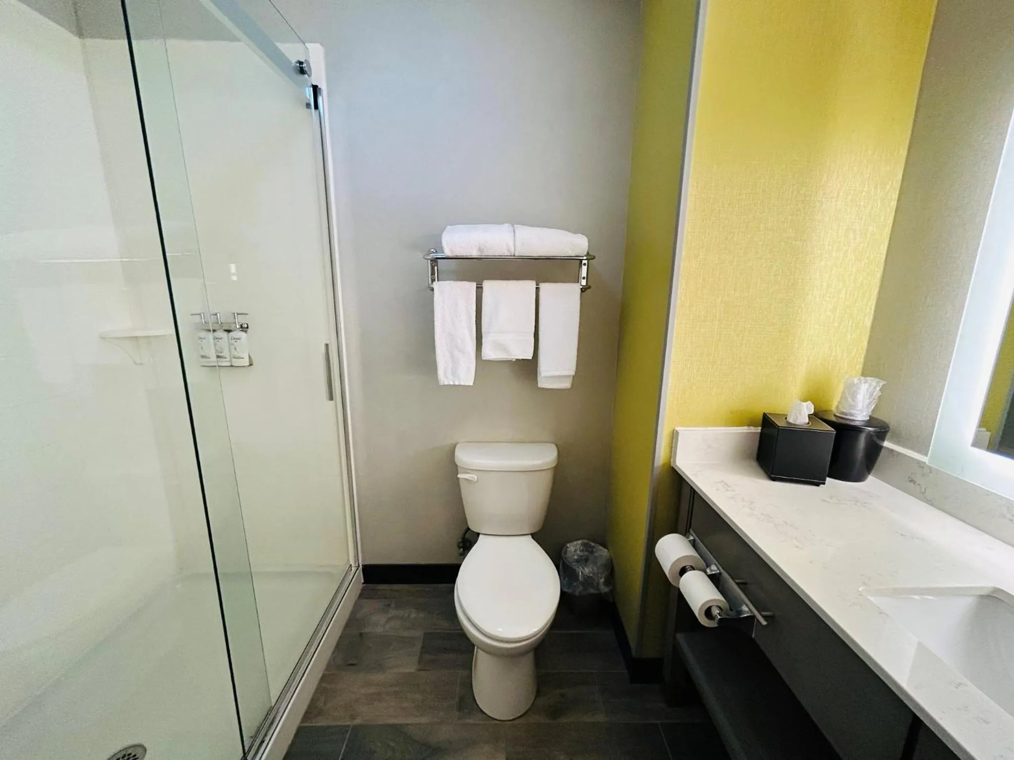 Bathroom in Holiday Inn Express & Suites Shippensburg by IHG