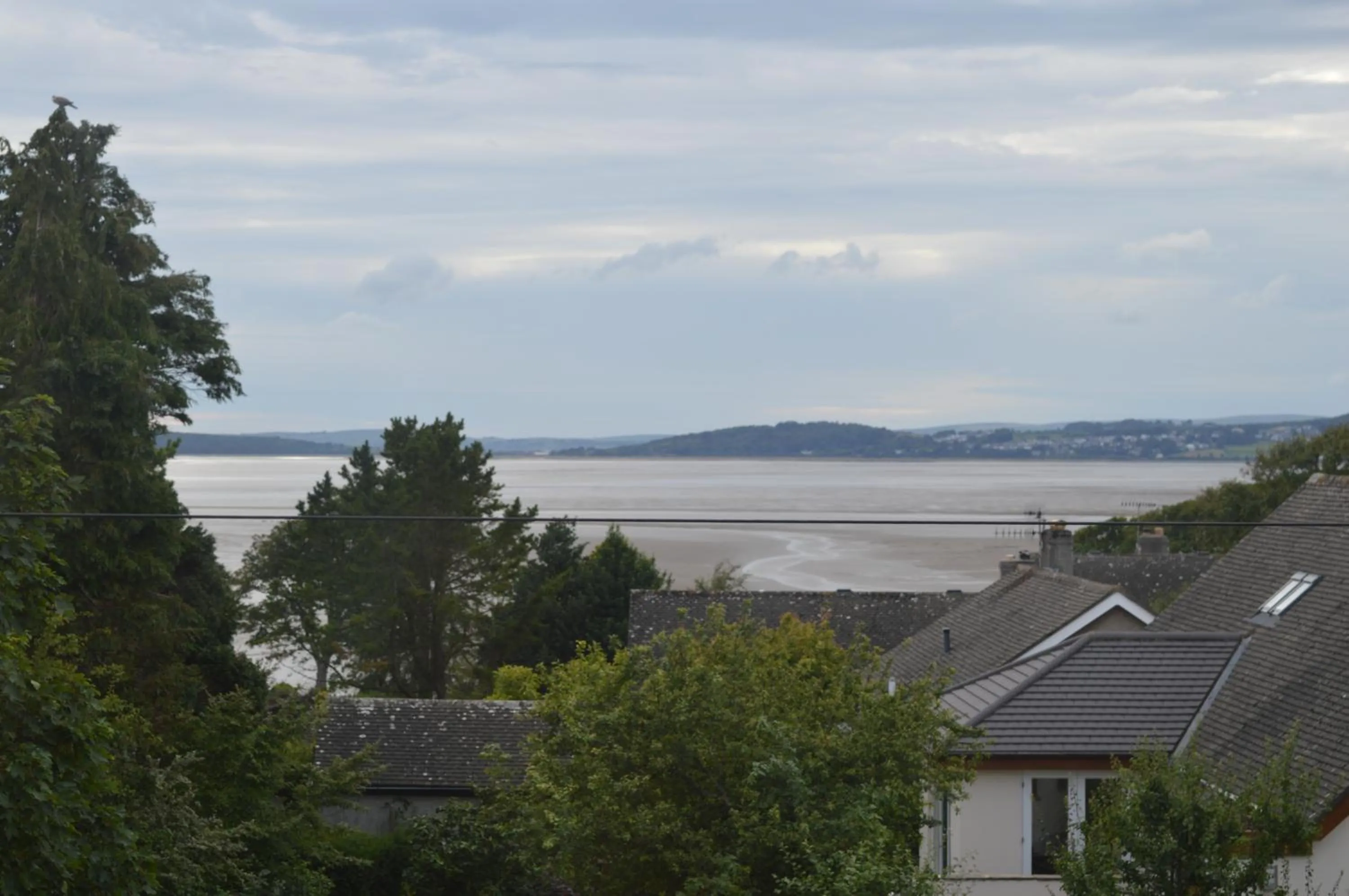 Garden view in The Silverdale Hotel