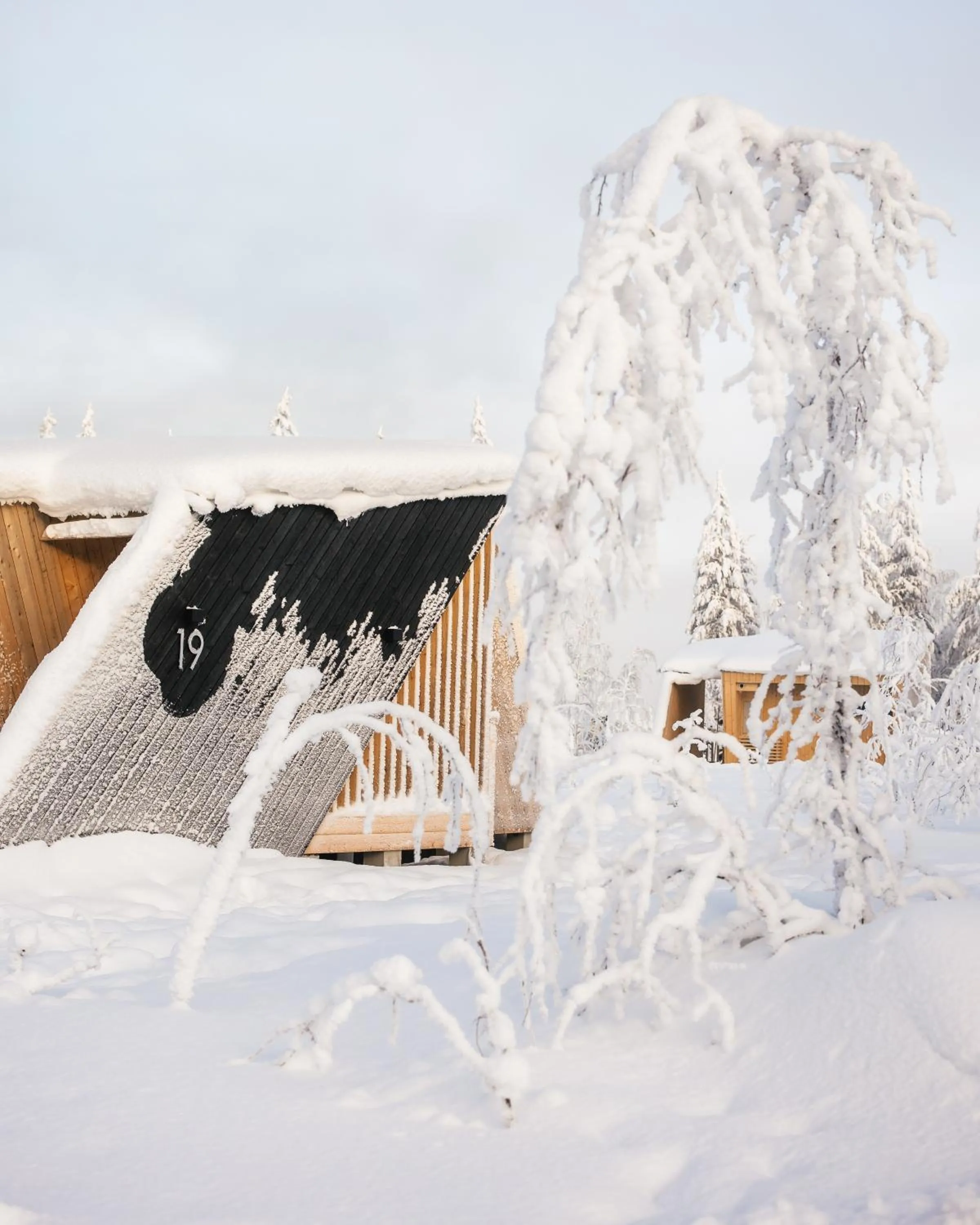 Property building in Lapland Glow Chalets