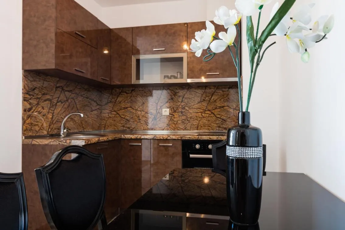 Kitchen or kitchenette in Boutique Apart Hotel Versis