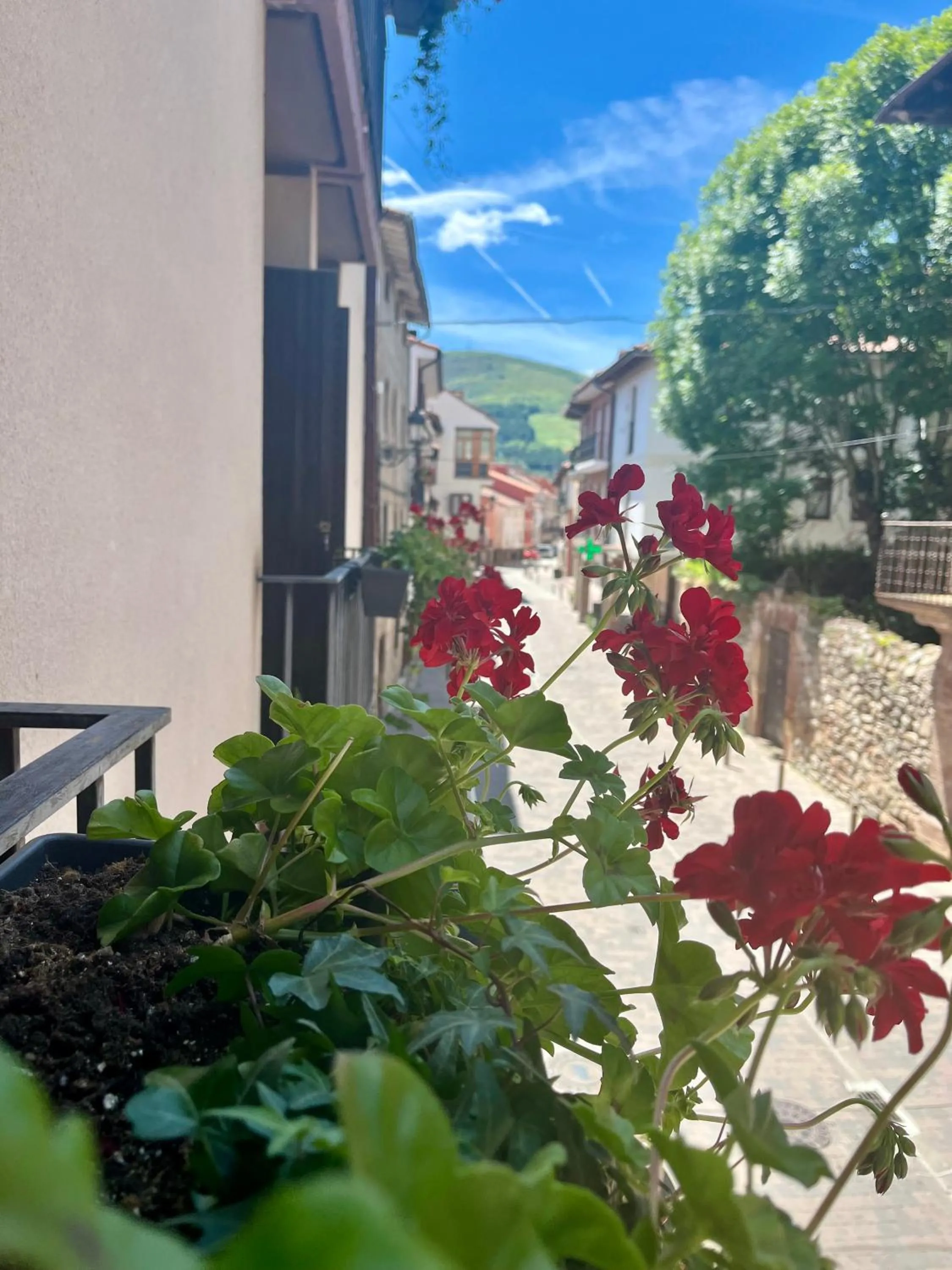 Apartamentos Ubaga