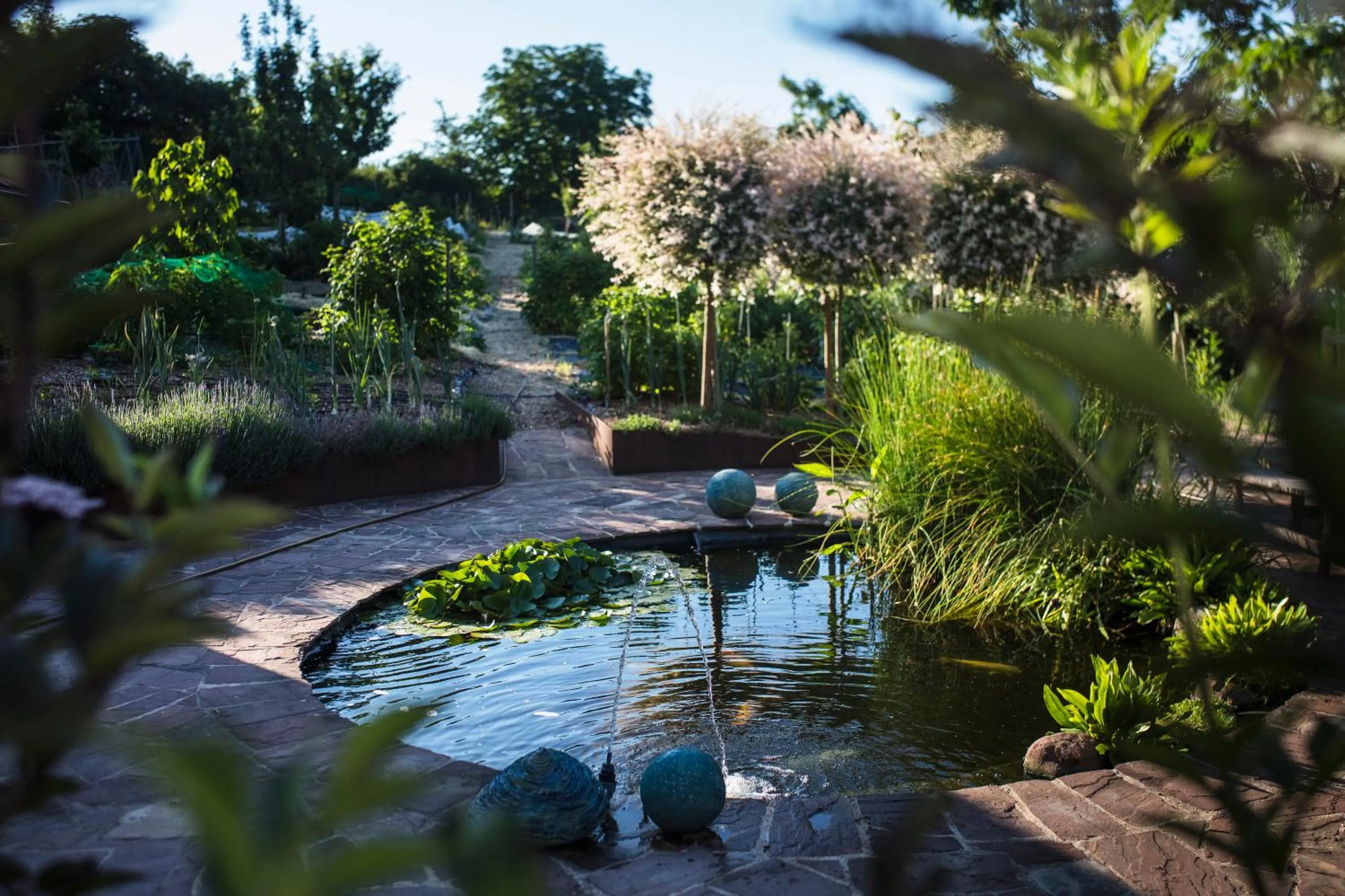 Natural landscape in Le B Cottage & SPA Privé