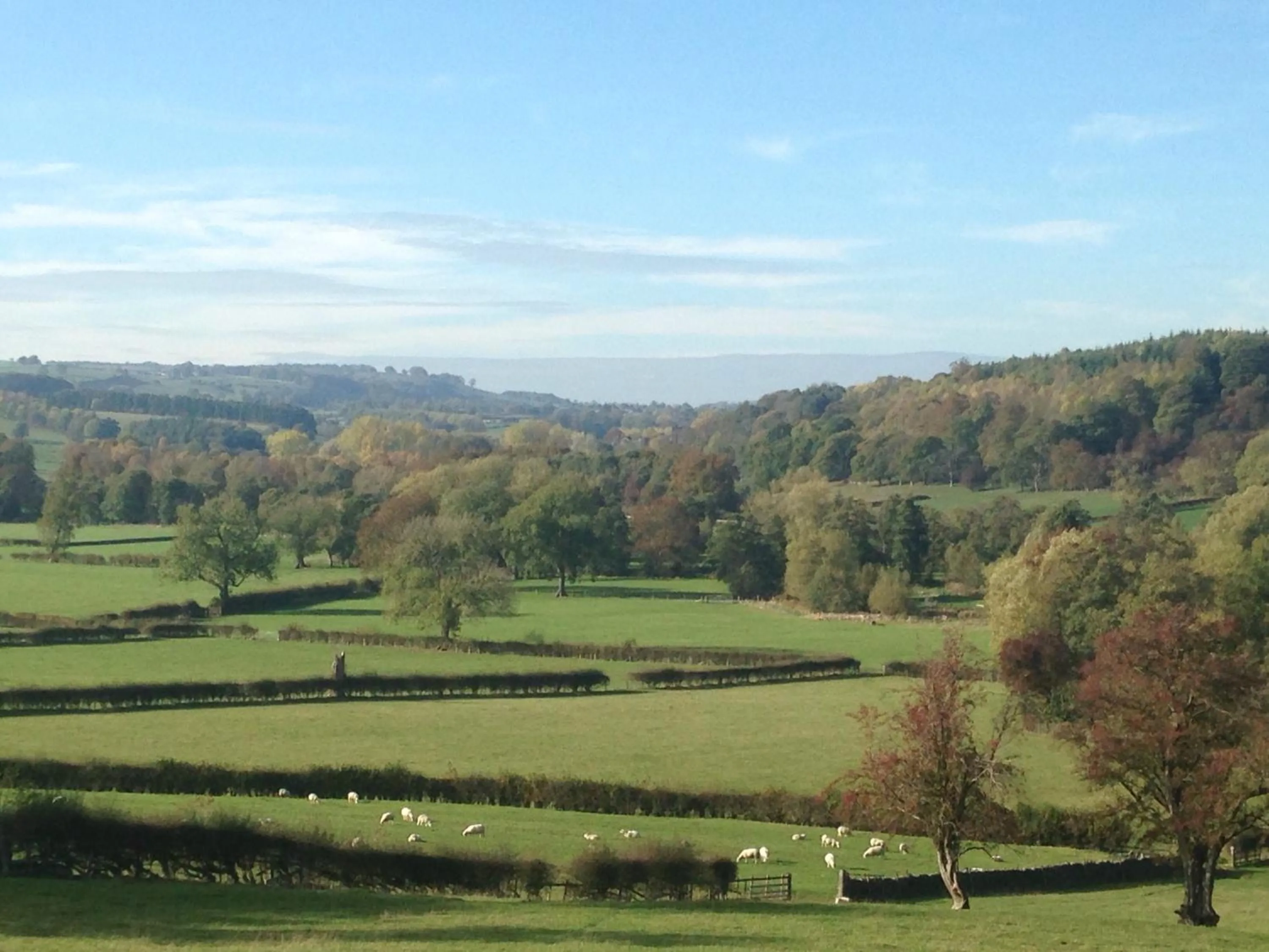 Natural landscape in Slayleigh B&B, Matlock