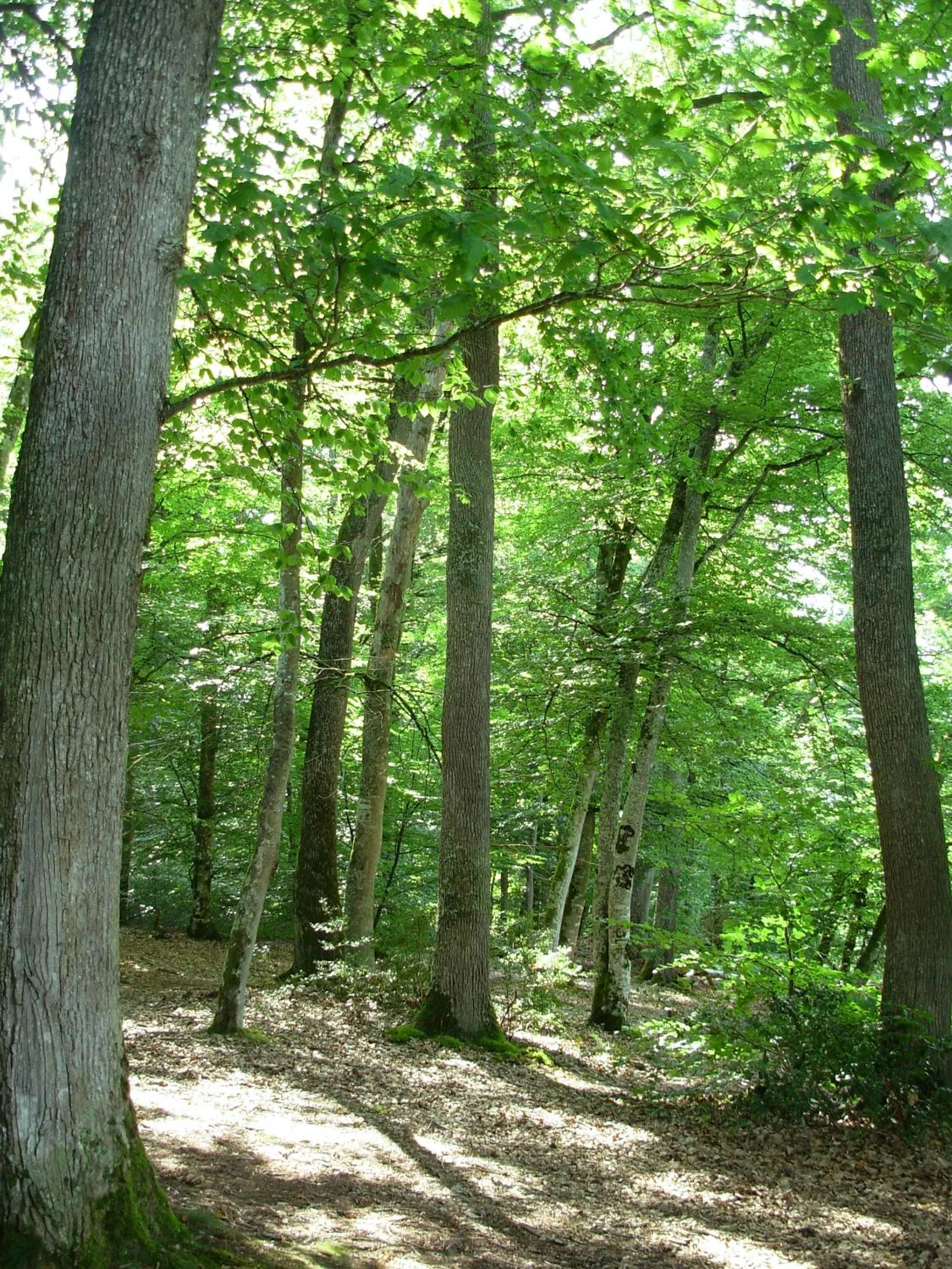 Hiking in La Grange du Bourg