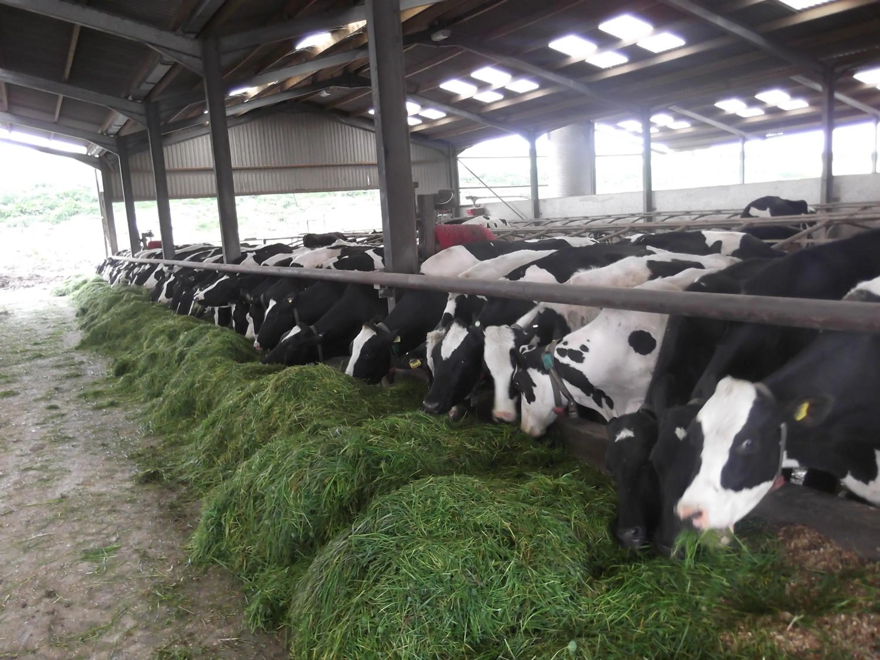 Property building in Trecorme Barton