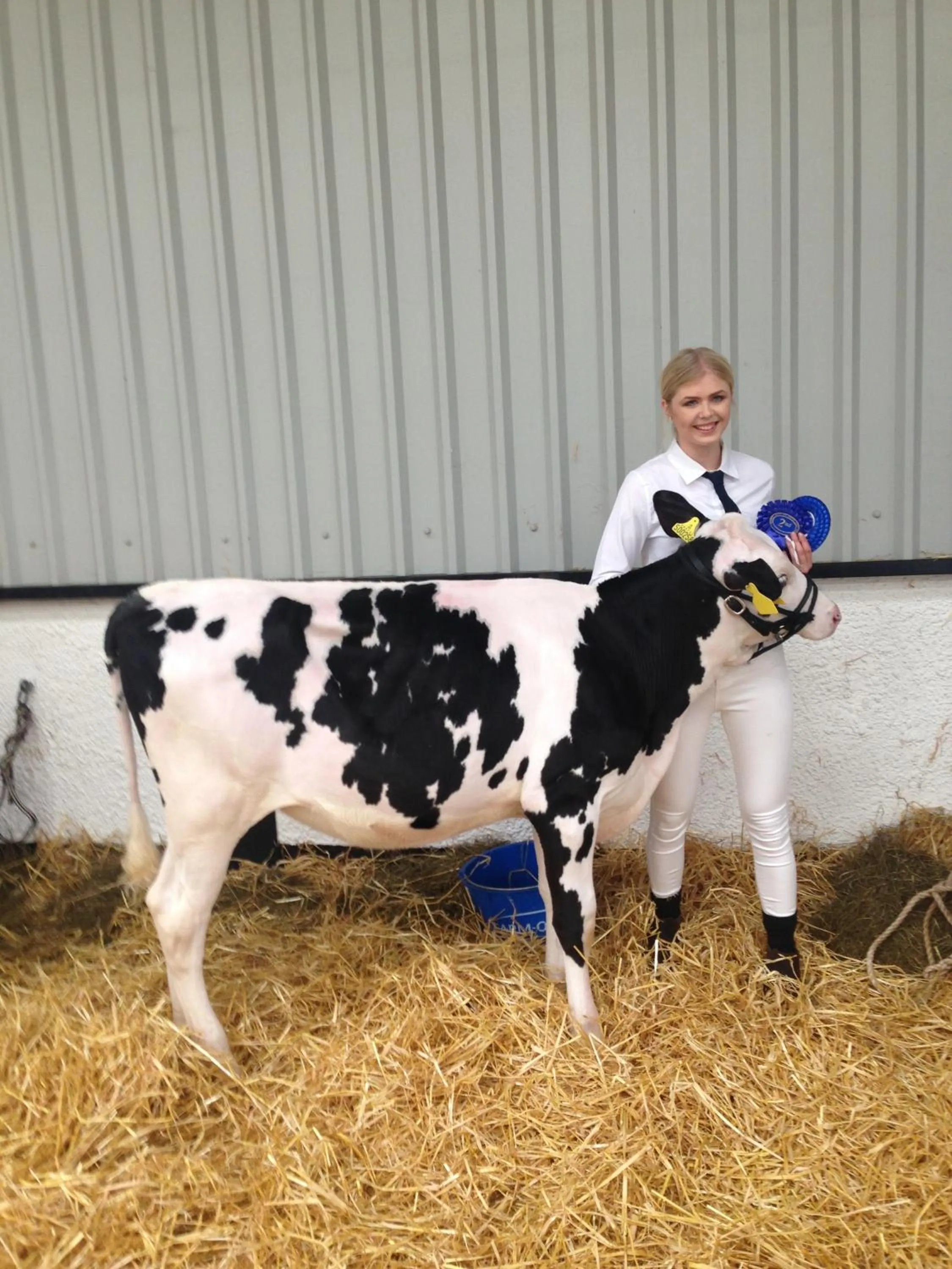 Animals in Trecorme Barton