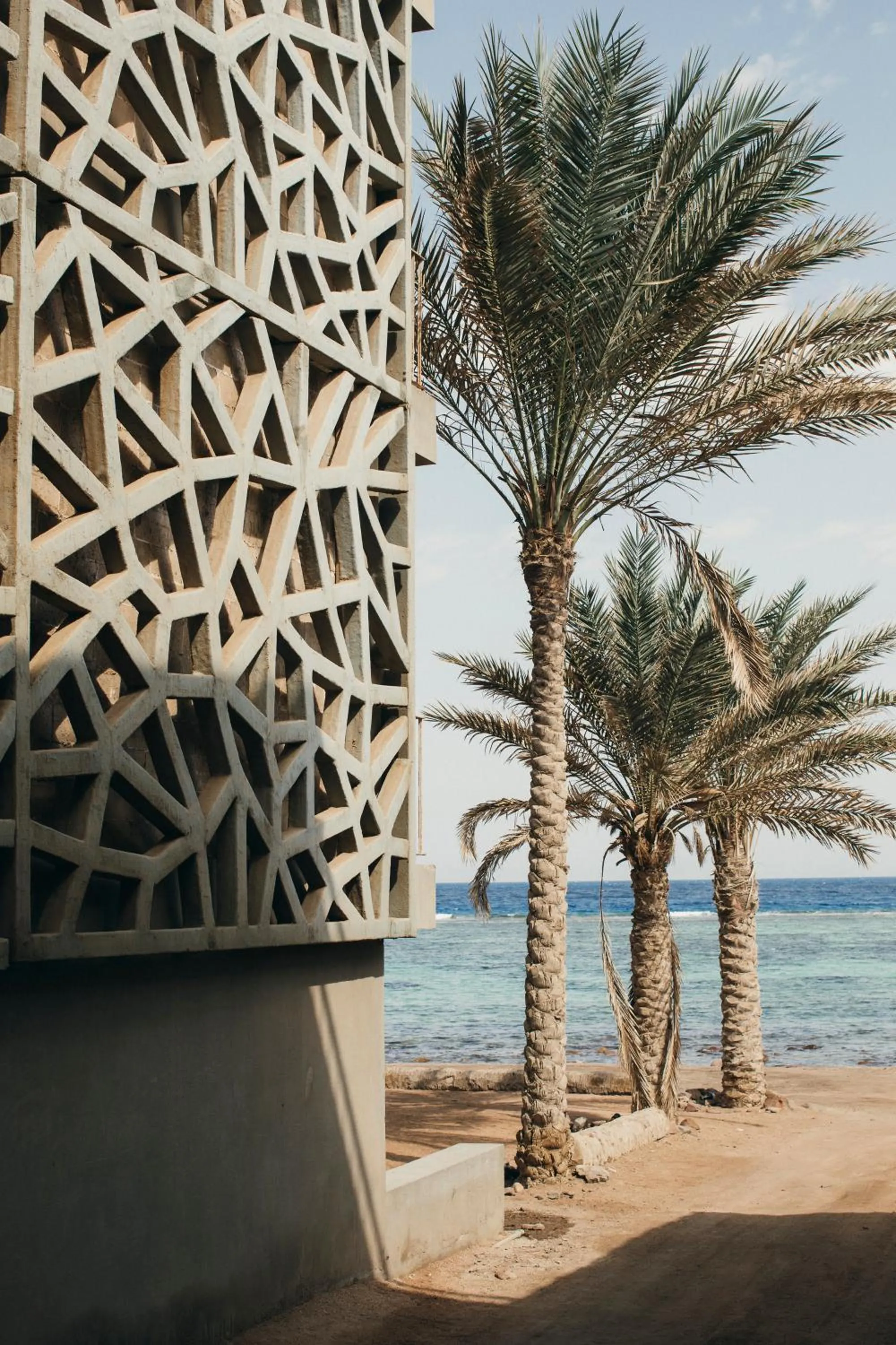 Property building in Dar Dahab