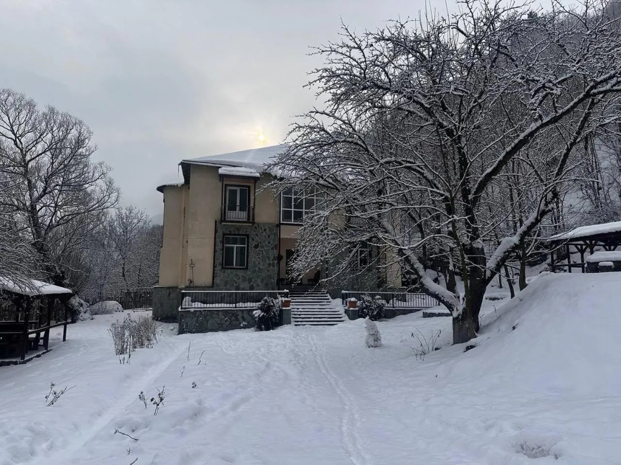 Noor Dilijan