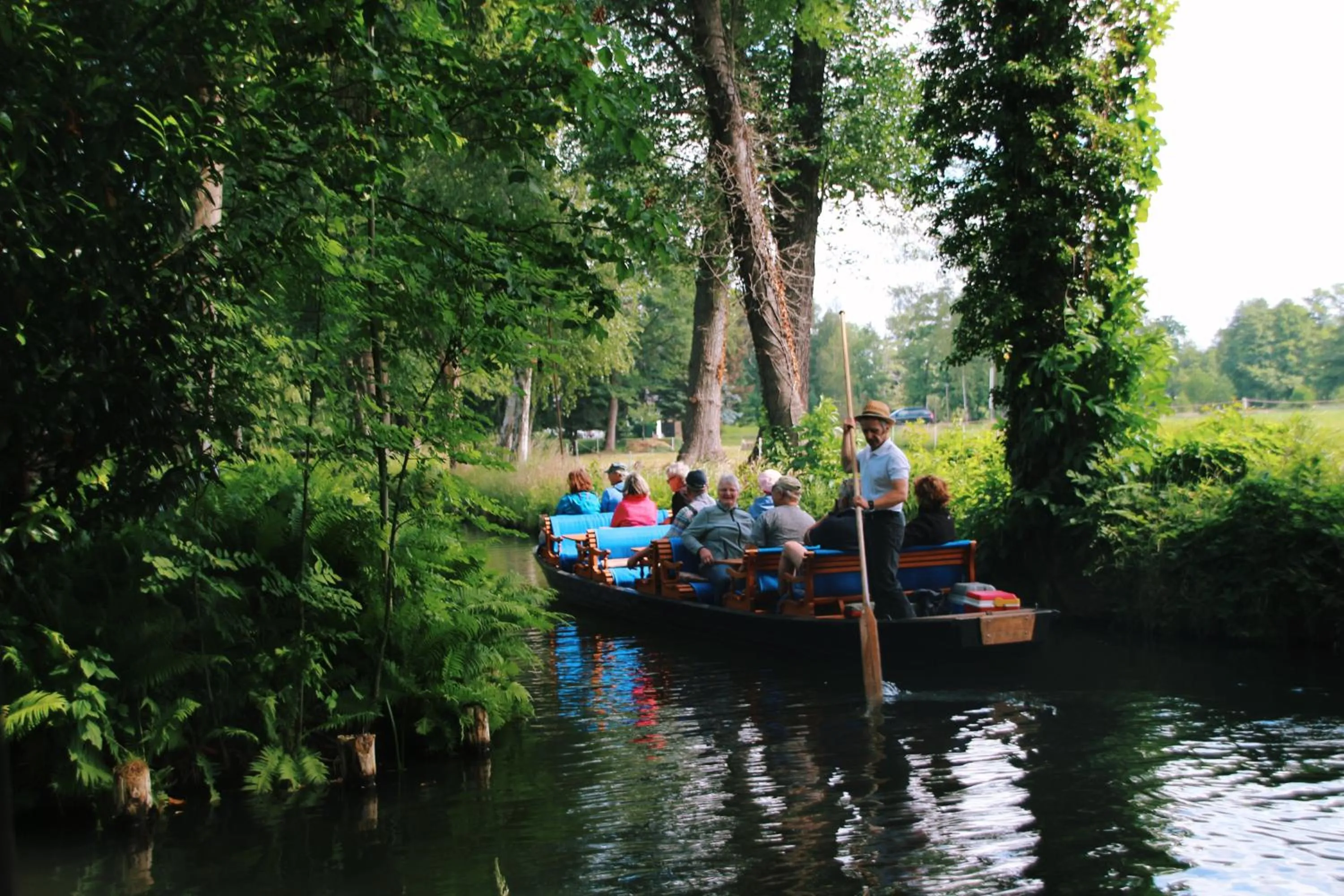 Activities in Landgasthof Zur Wildbahn