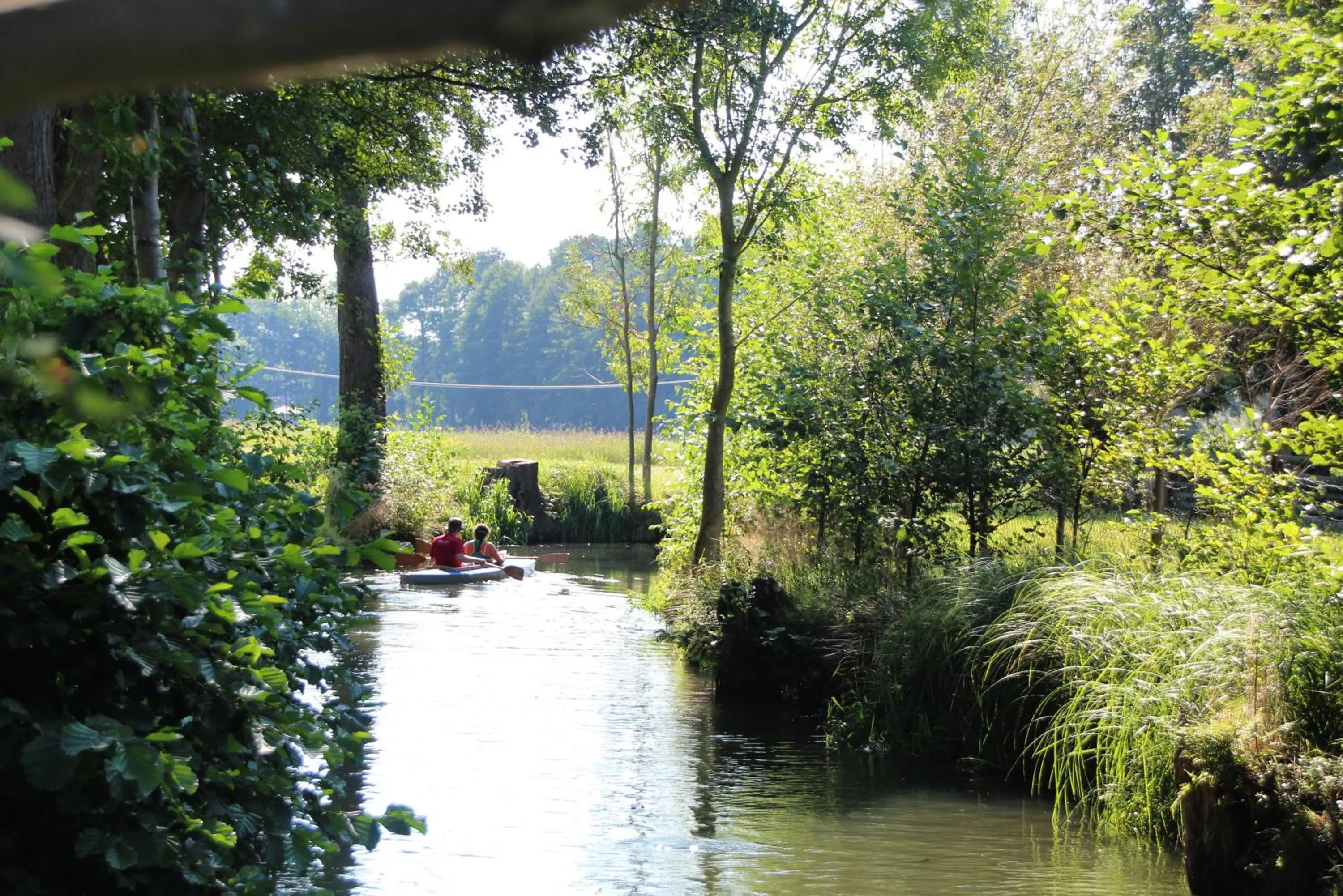 Natural landscape in Landgasthof Zur Wildbahn