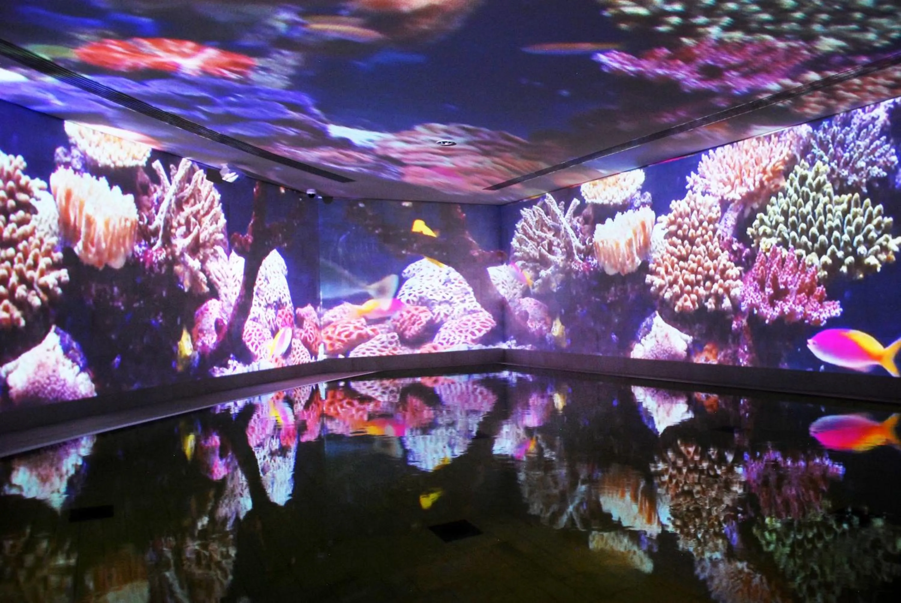 Nearby landmark in Hotel König Albert