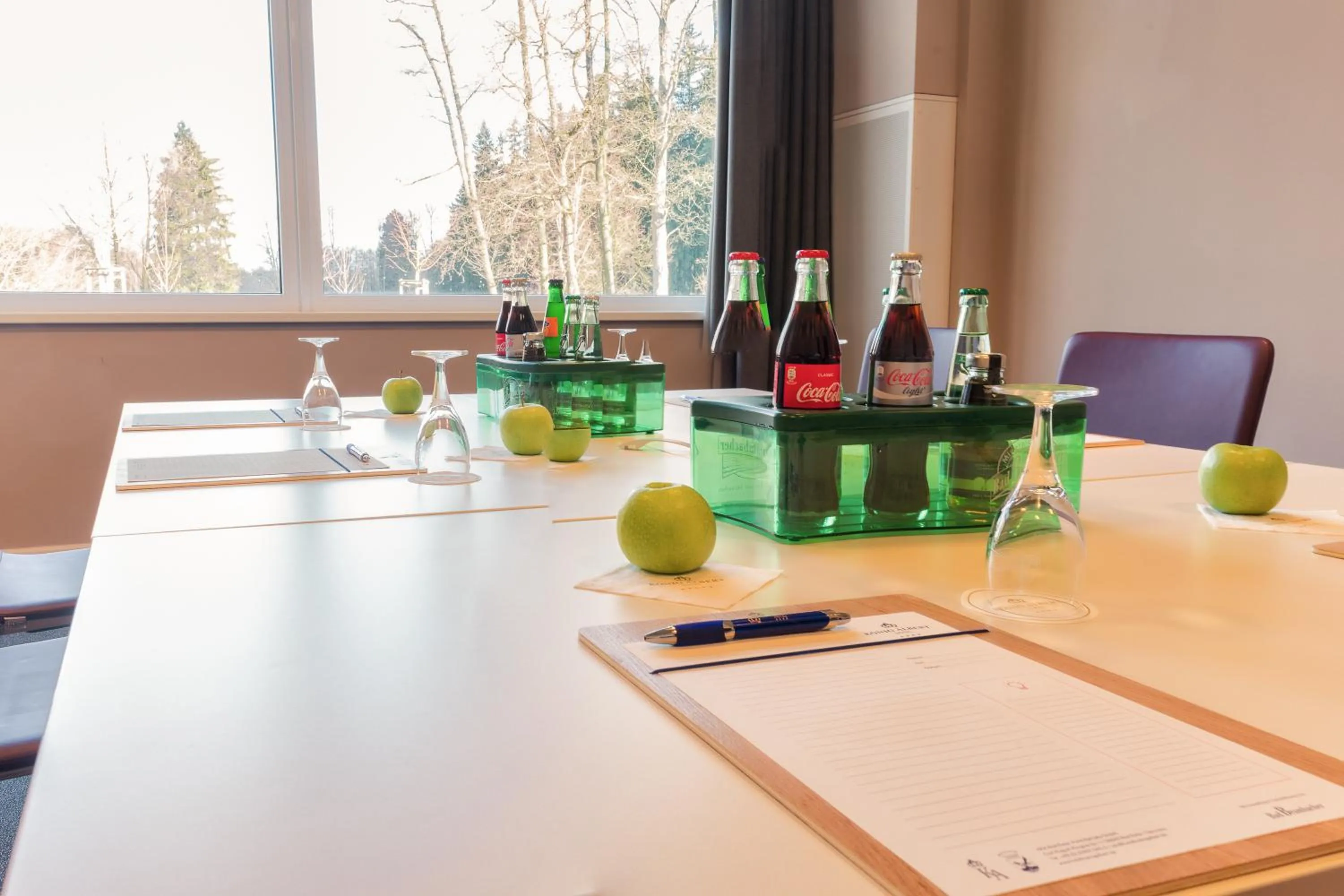 Business facilities in Hotel König Albert