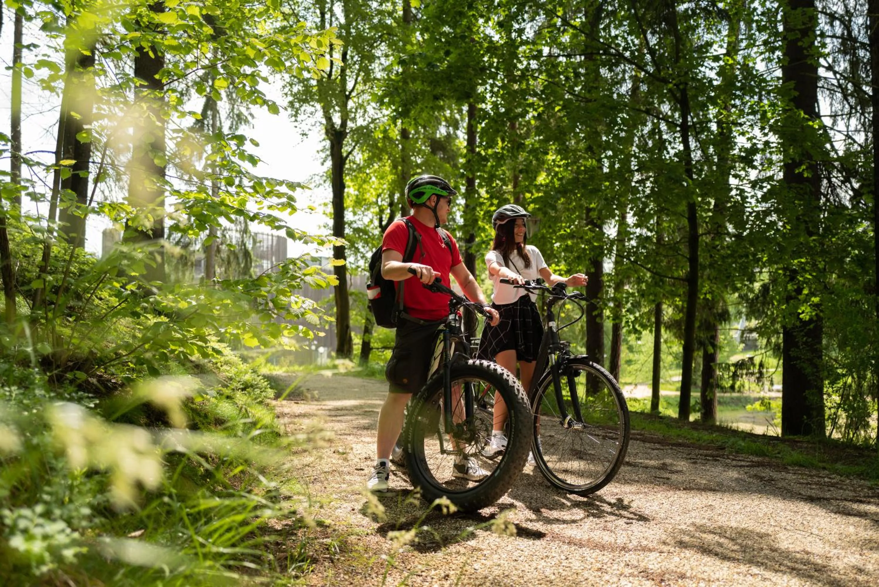 Cycling in Hotel König Albert
