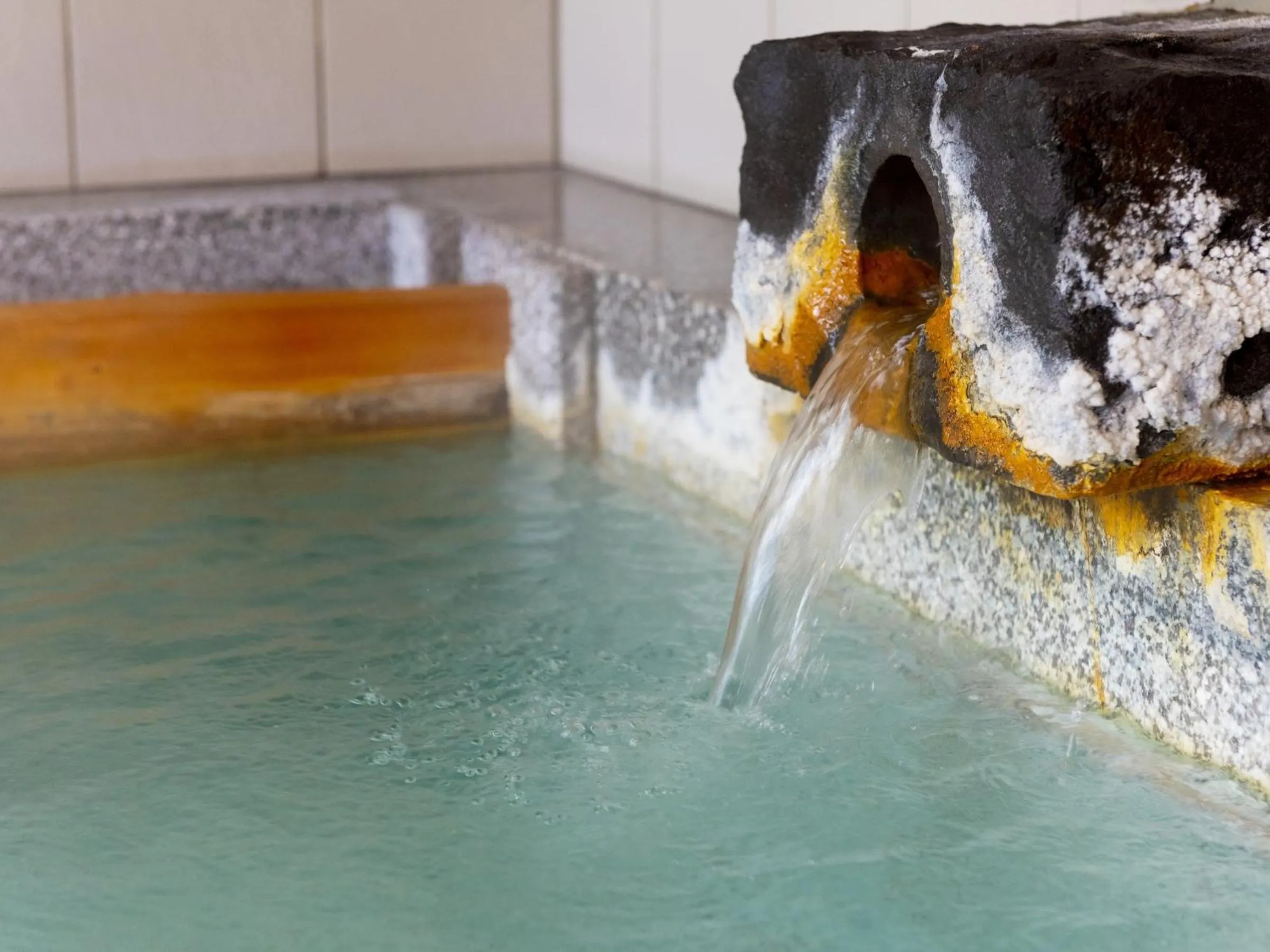 Hot Spring Bath in Shojuen