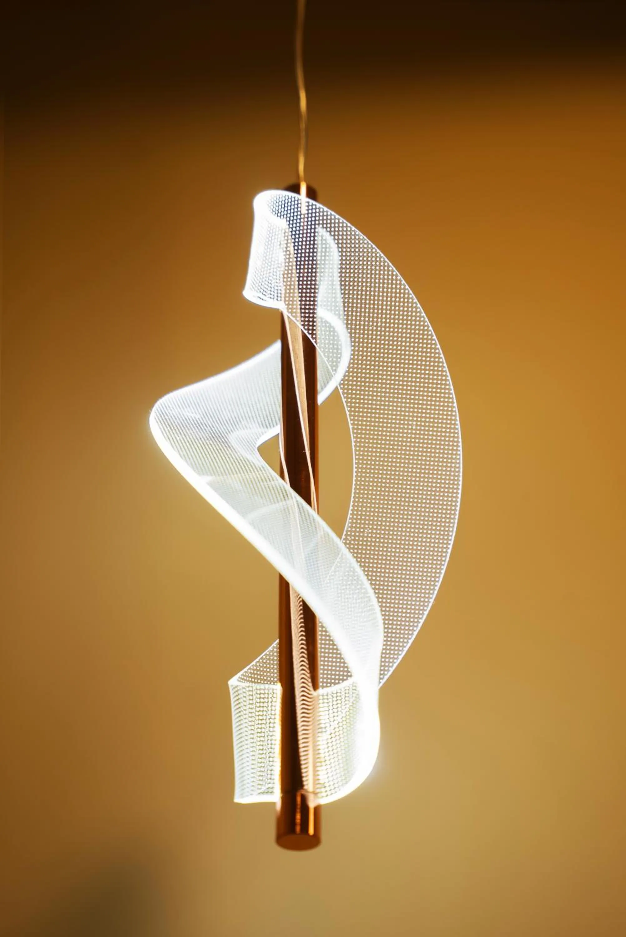 Other in The White Roots Hotel