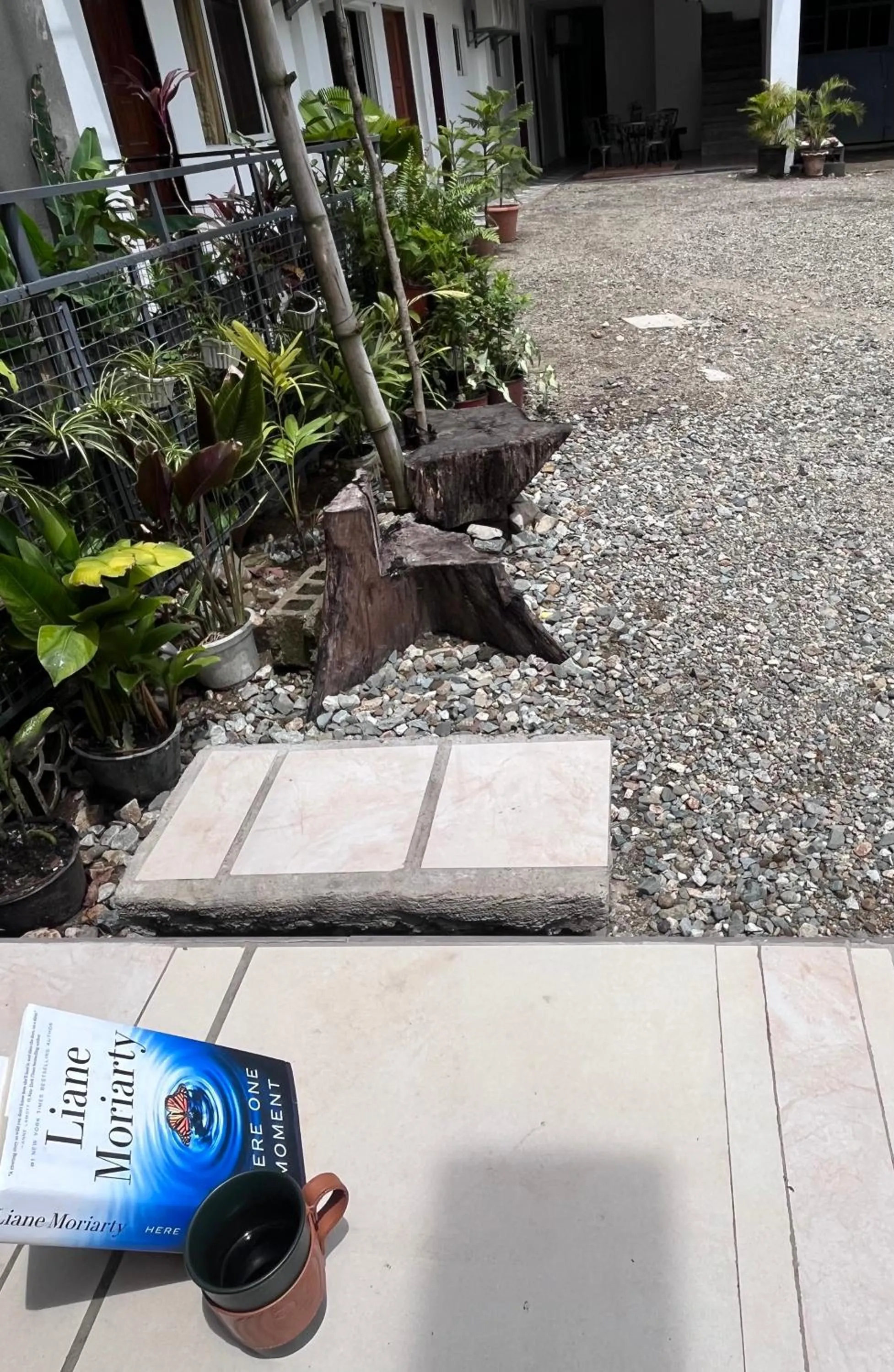Garden in Jezette's Inn