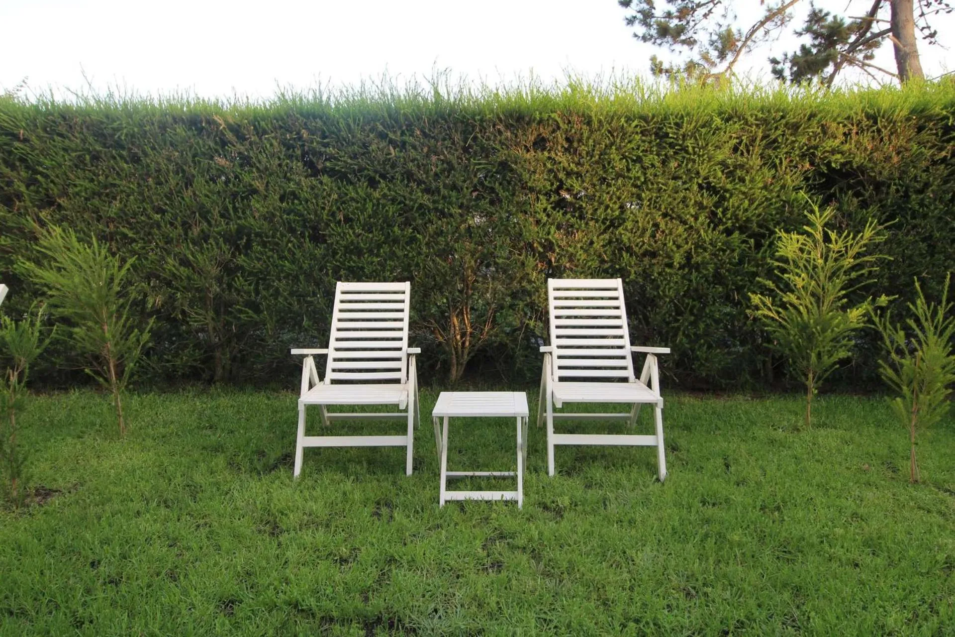 Garden in Quinta do Canal