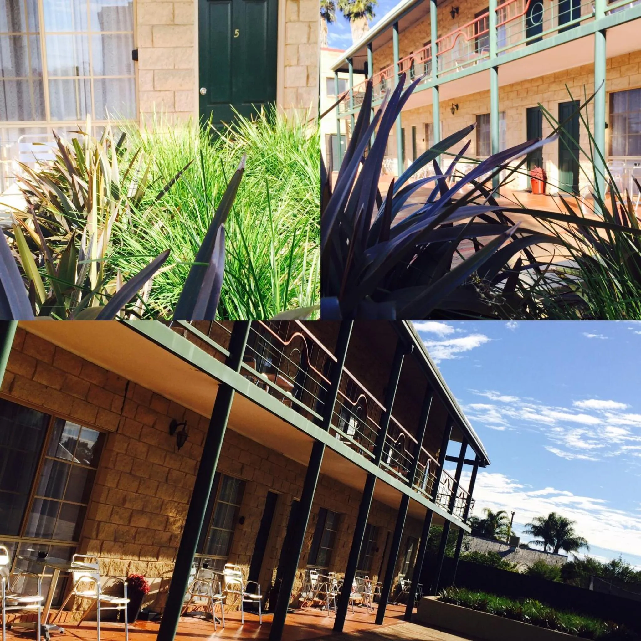 Garden in Mulwala Paradise Palms Motel