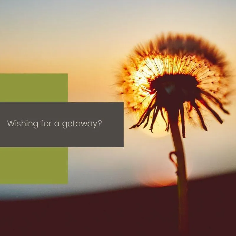 Mulwala Paradise Palms Motel