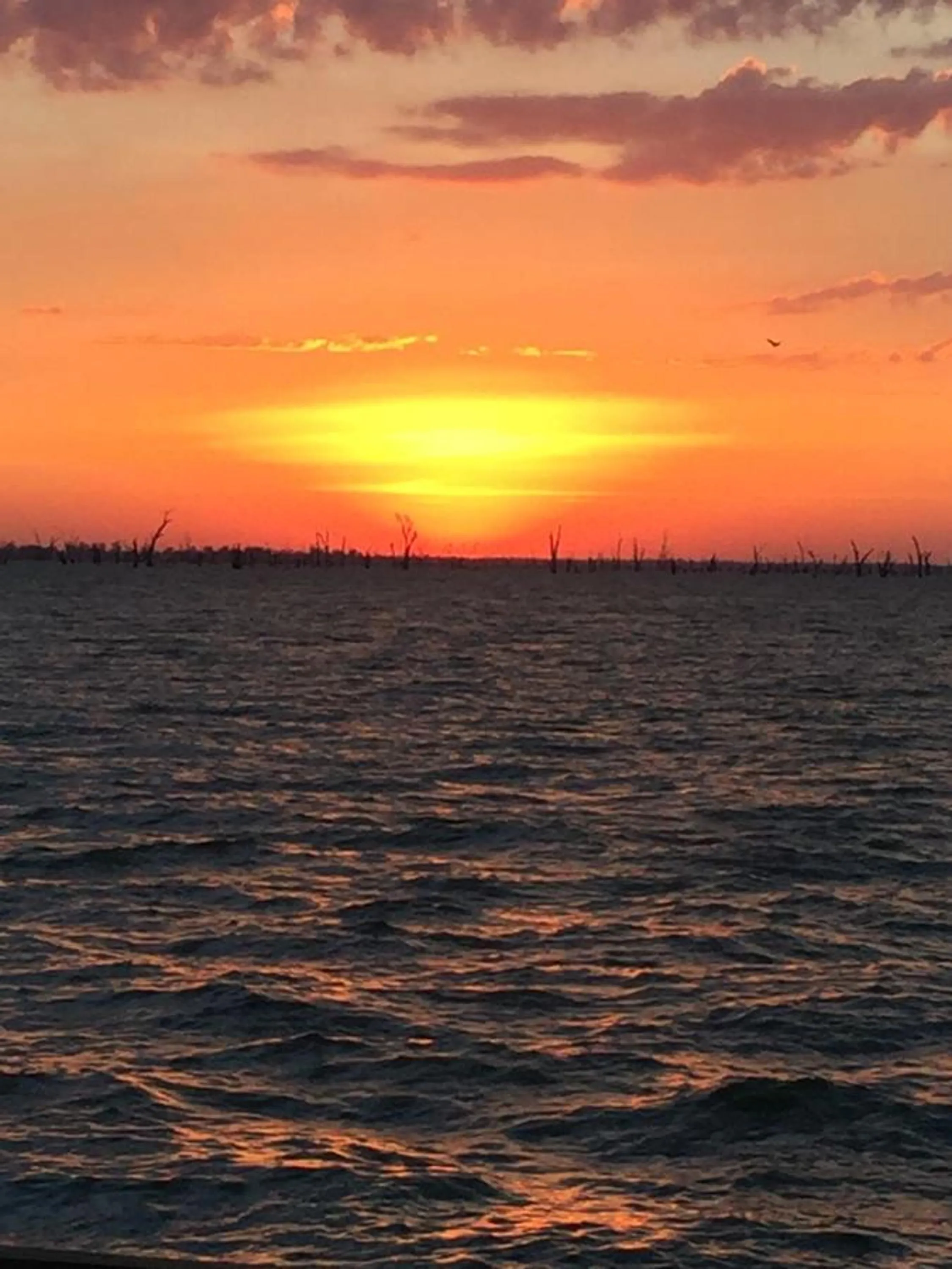 Off site, Sunrise/Sunset in Mulwala Paradise Palms Motel