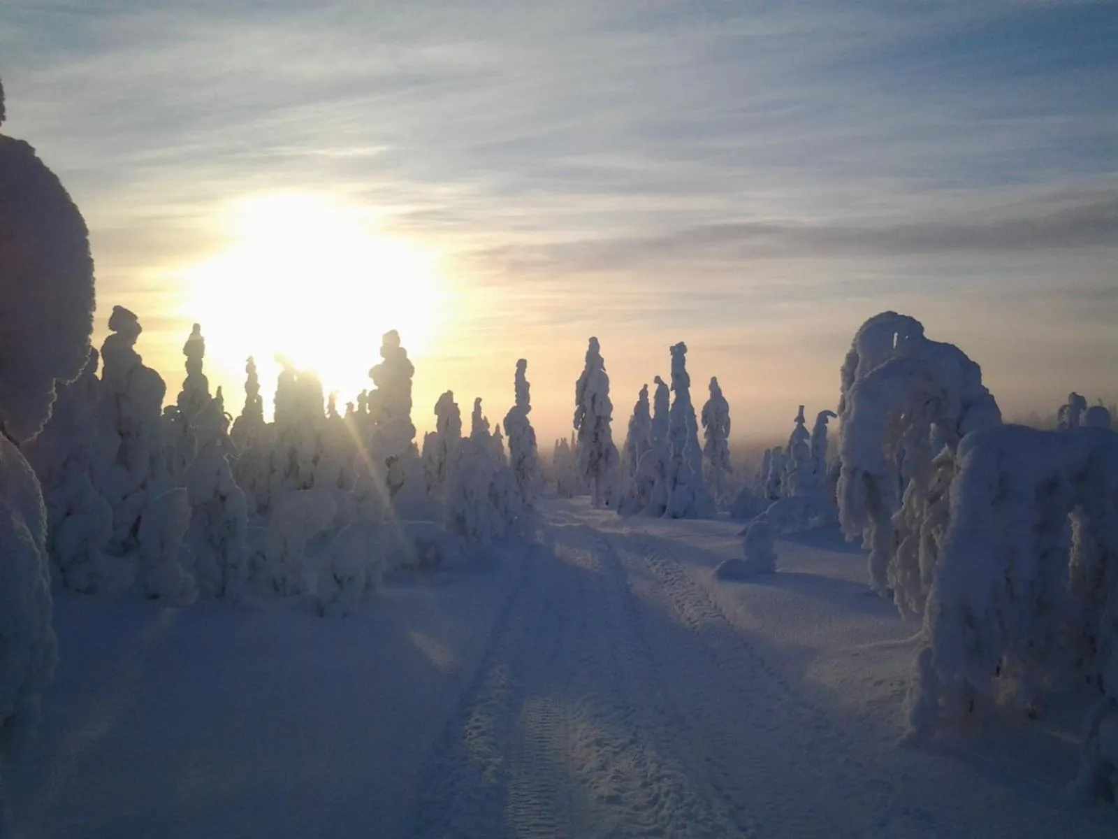 Skiing in Ollilan Lomamajat