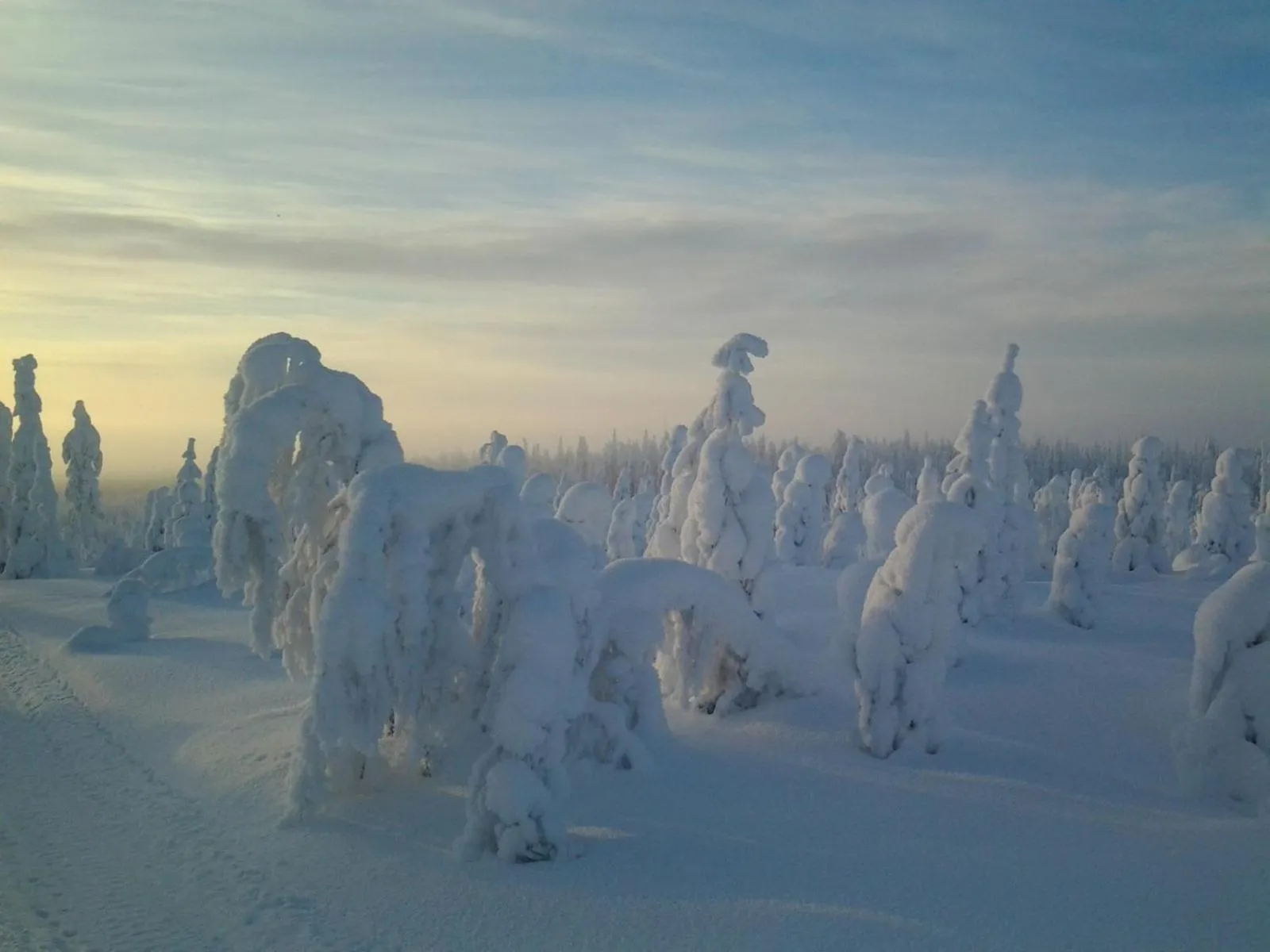 Skiing in Ollilan Lomamajat