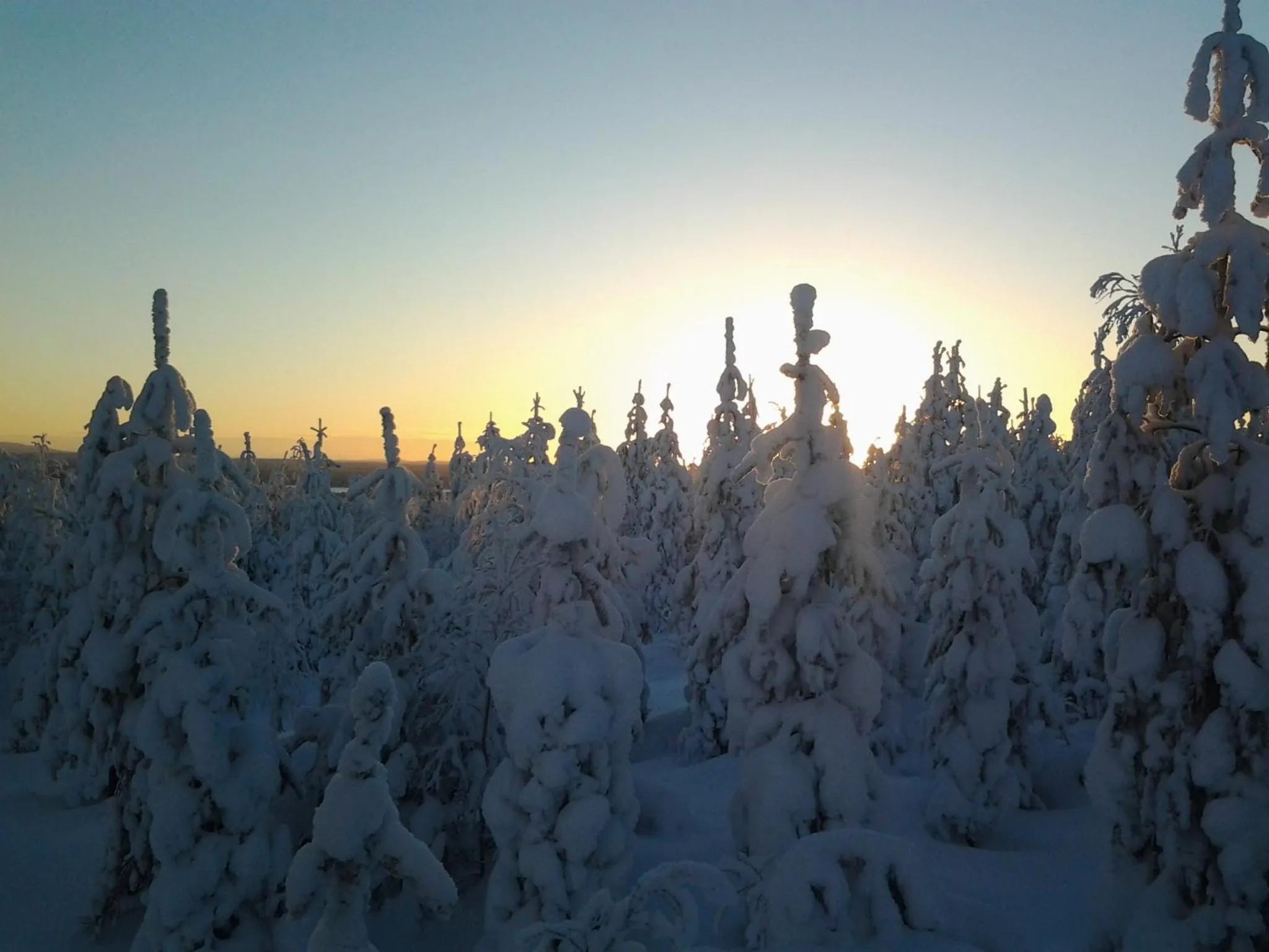 Skiing in Ollilan Lomamajat
