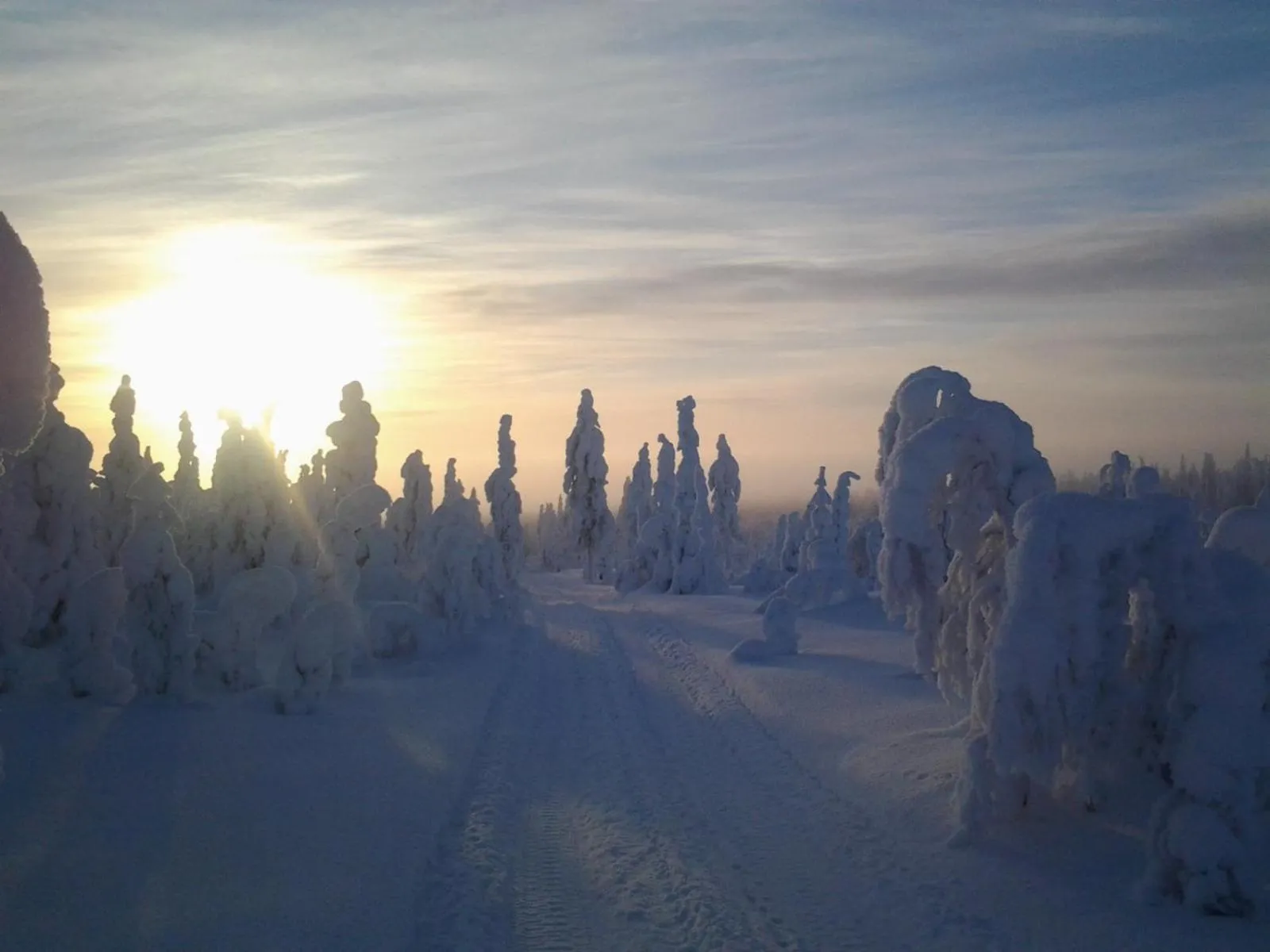 Skiing in Ollilan Lomamajat