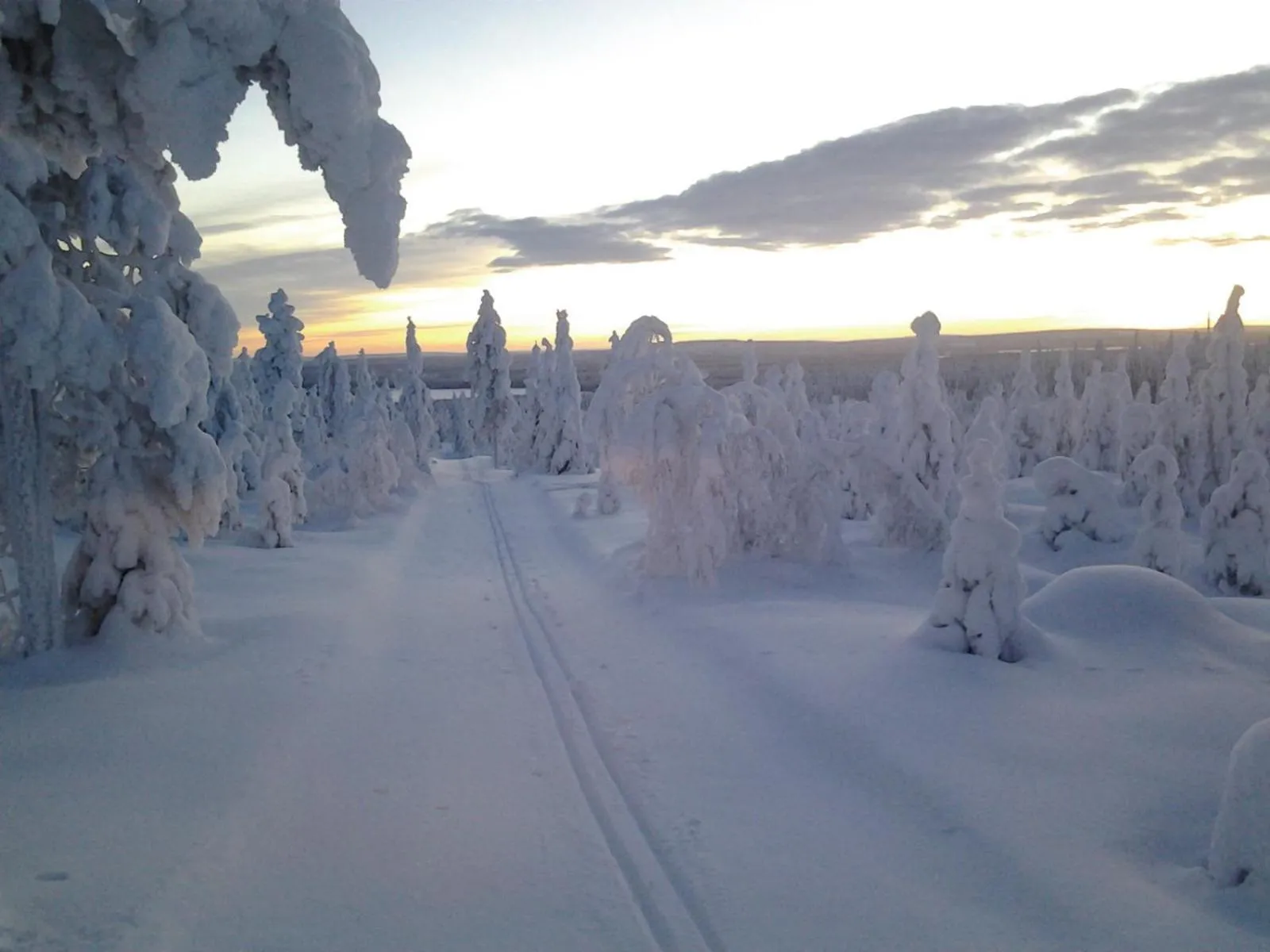Skiing in Ollilan Lomamajat