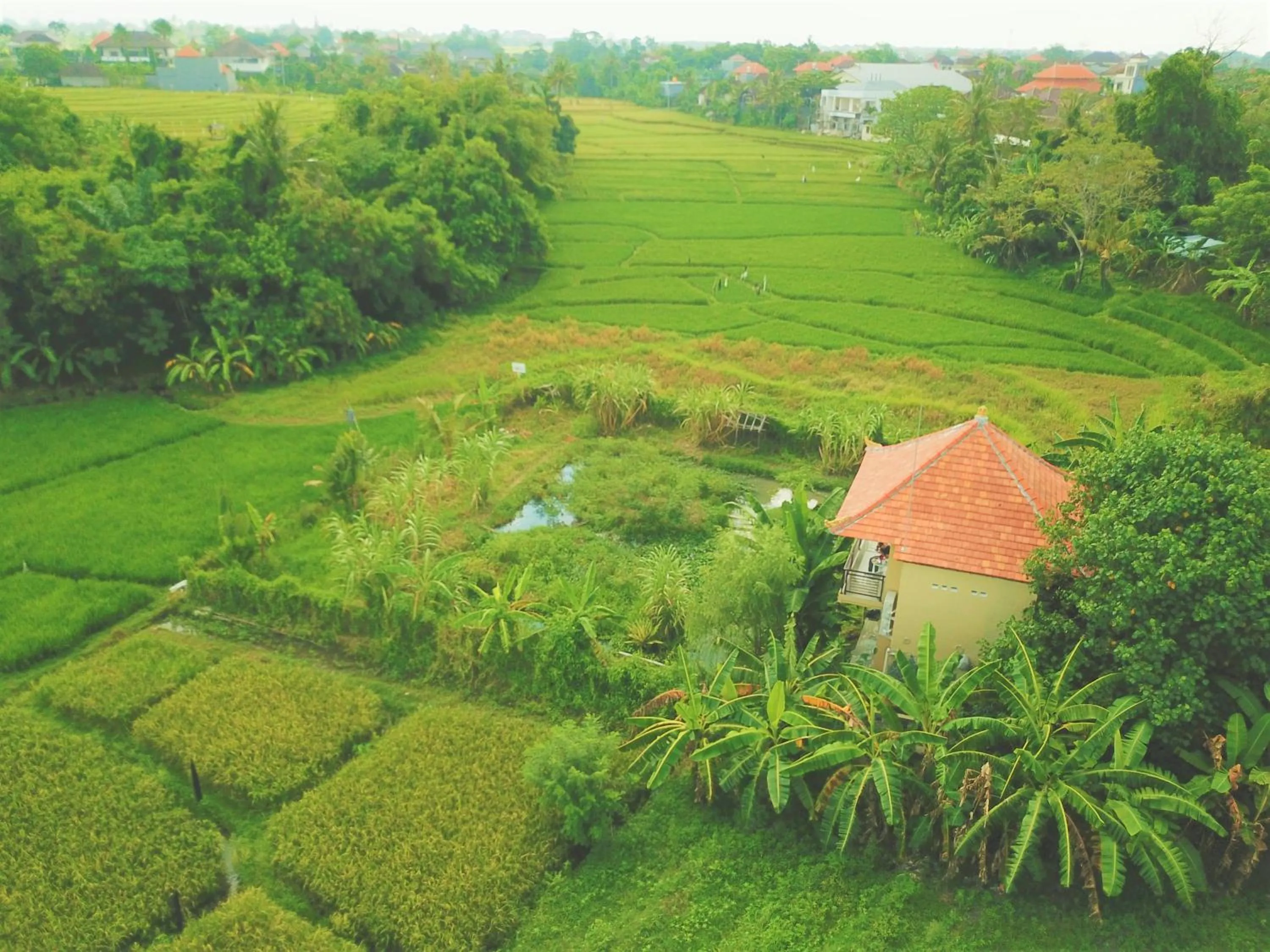 Natural landscape in Sunari Guest House