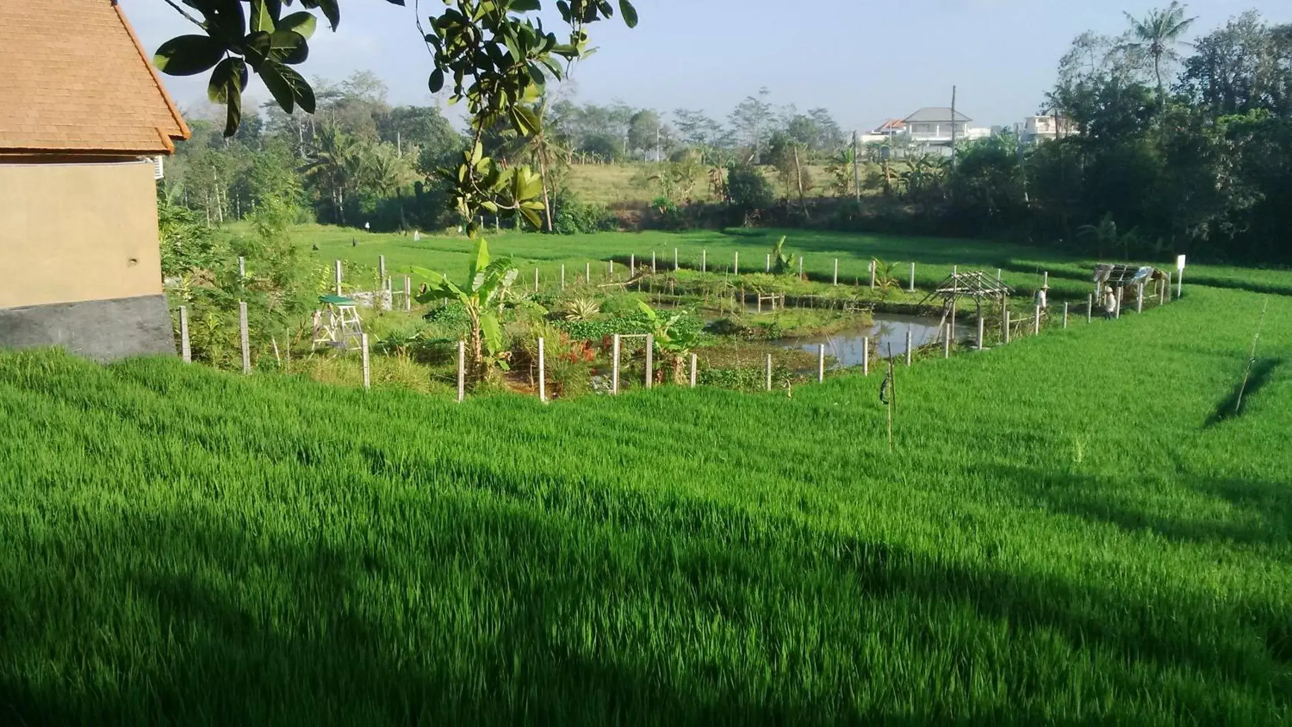 Property building in Sunari Guest House Property building in Sunari Guest House