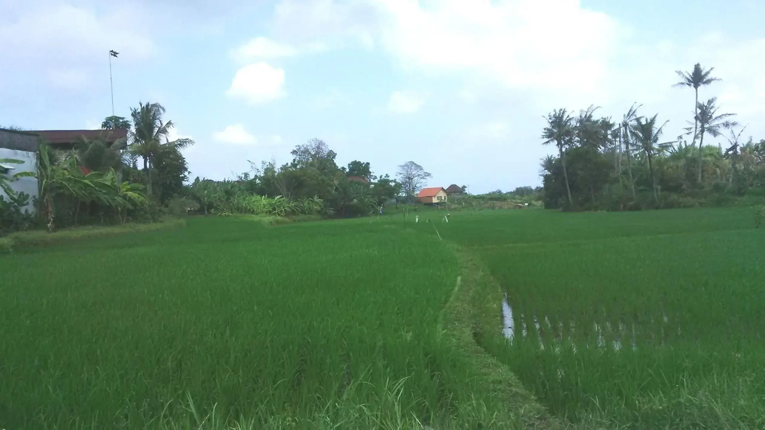 View (from property/room) in Sunari Guest House View (from property/room) in Sunari Guest House