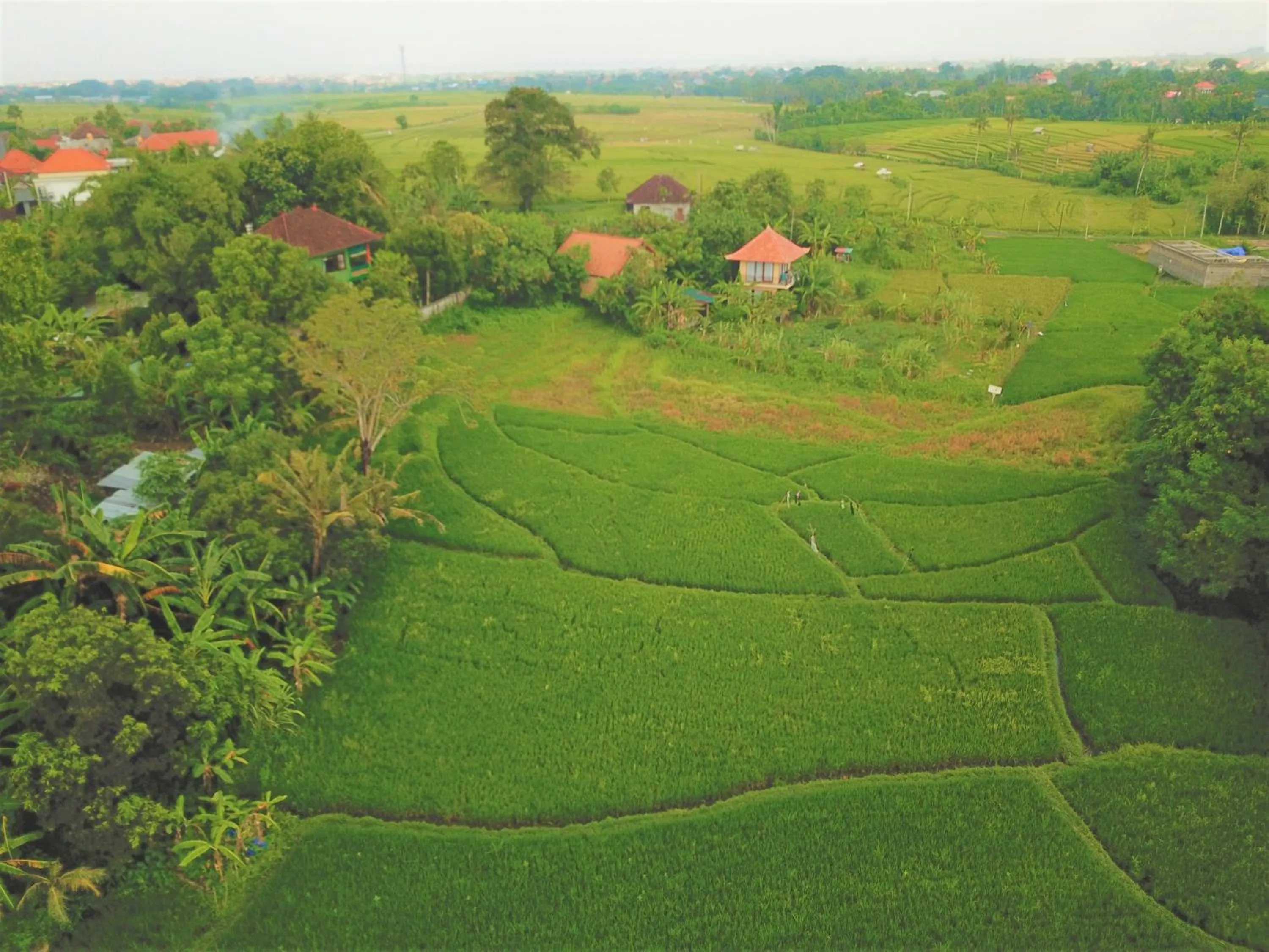 Nearby landmark in Sunari Guest House