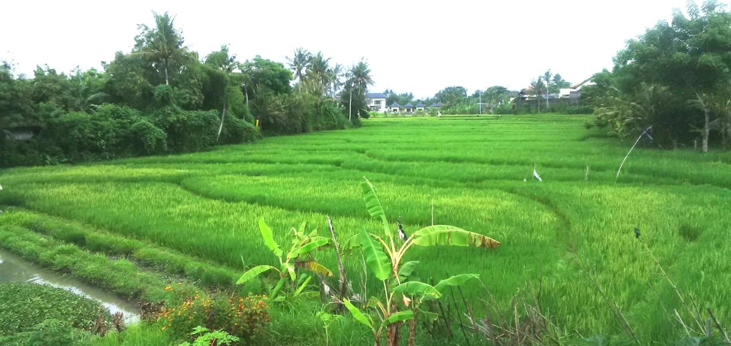 Natural landscape in Sunari Guest House