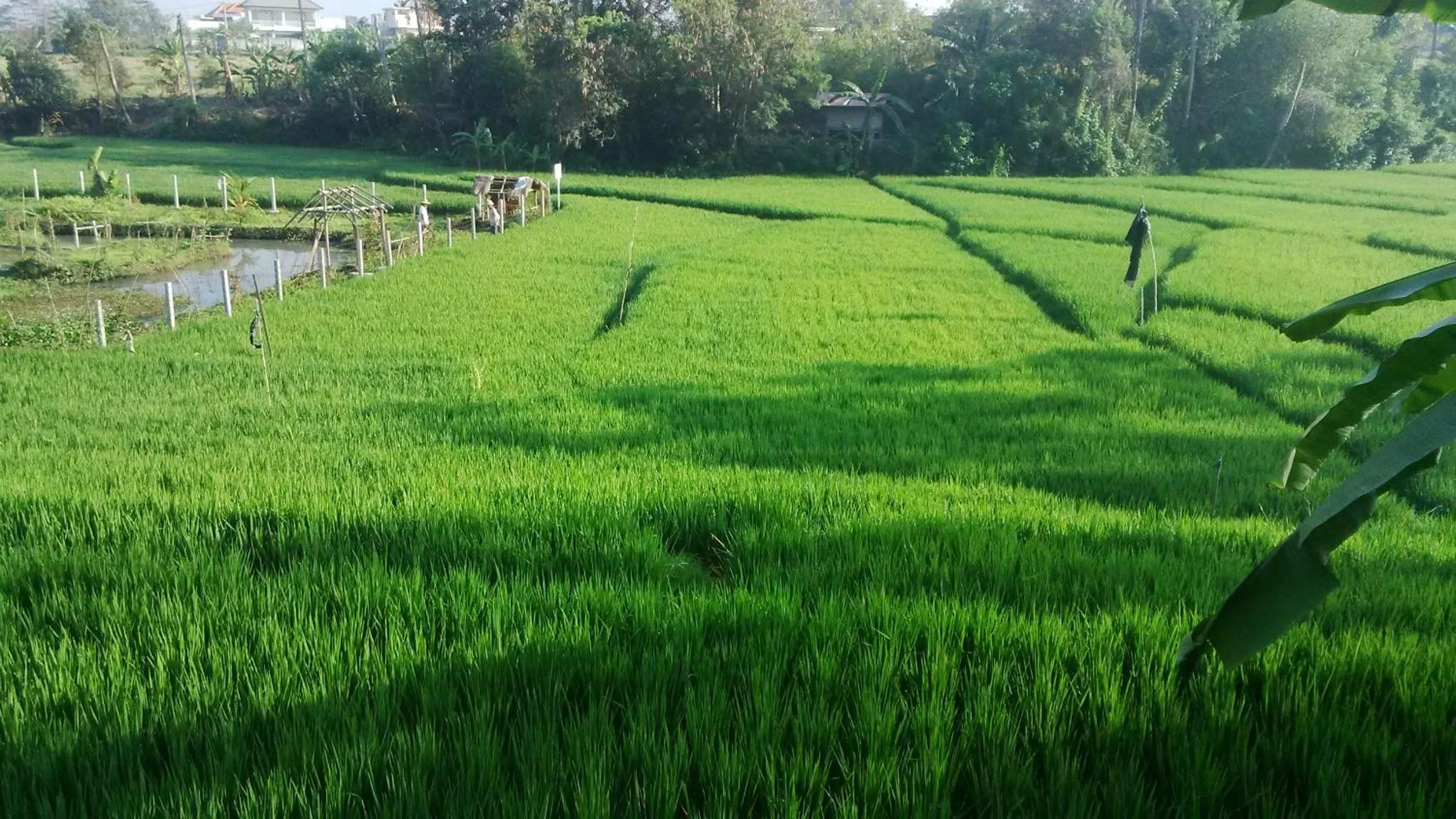 Property building in Sunari Guest House