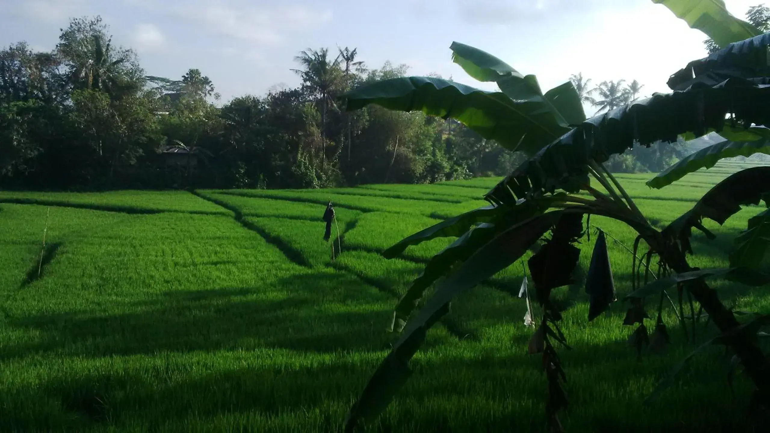 Property building in Sunari Guest House Property building in Sunari Guest House